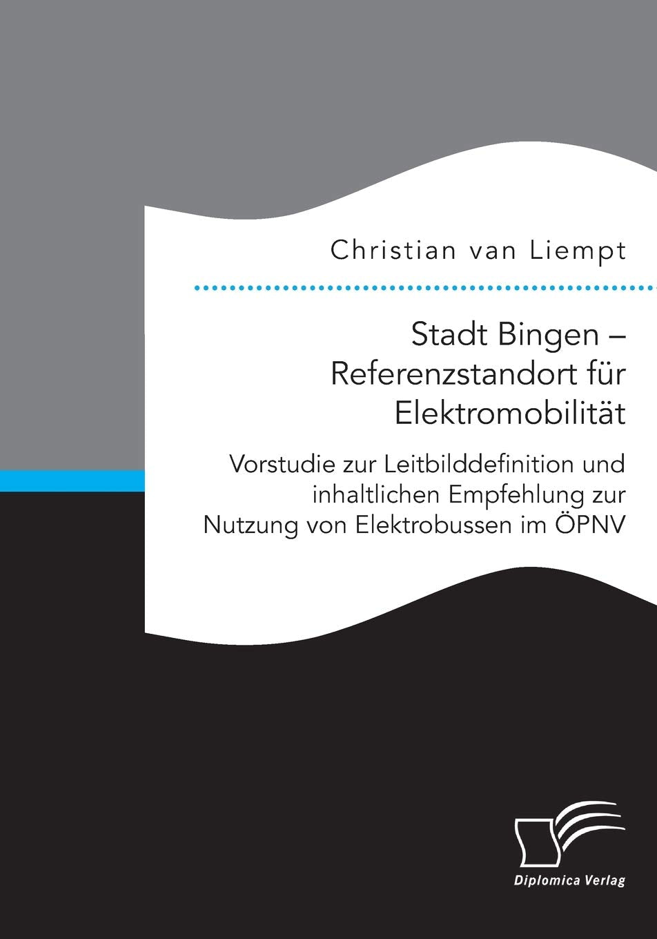 Stadt Bingen - Referenzstandort für Elektromobilität. Vorstudie zur Leitbilddefinition und inhaltlichen Empfehlung zur Nutzung von Elektrobussen im ÖPNV Media & Communication