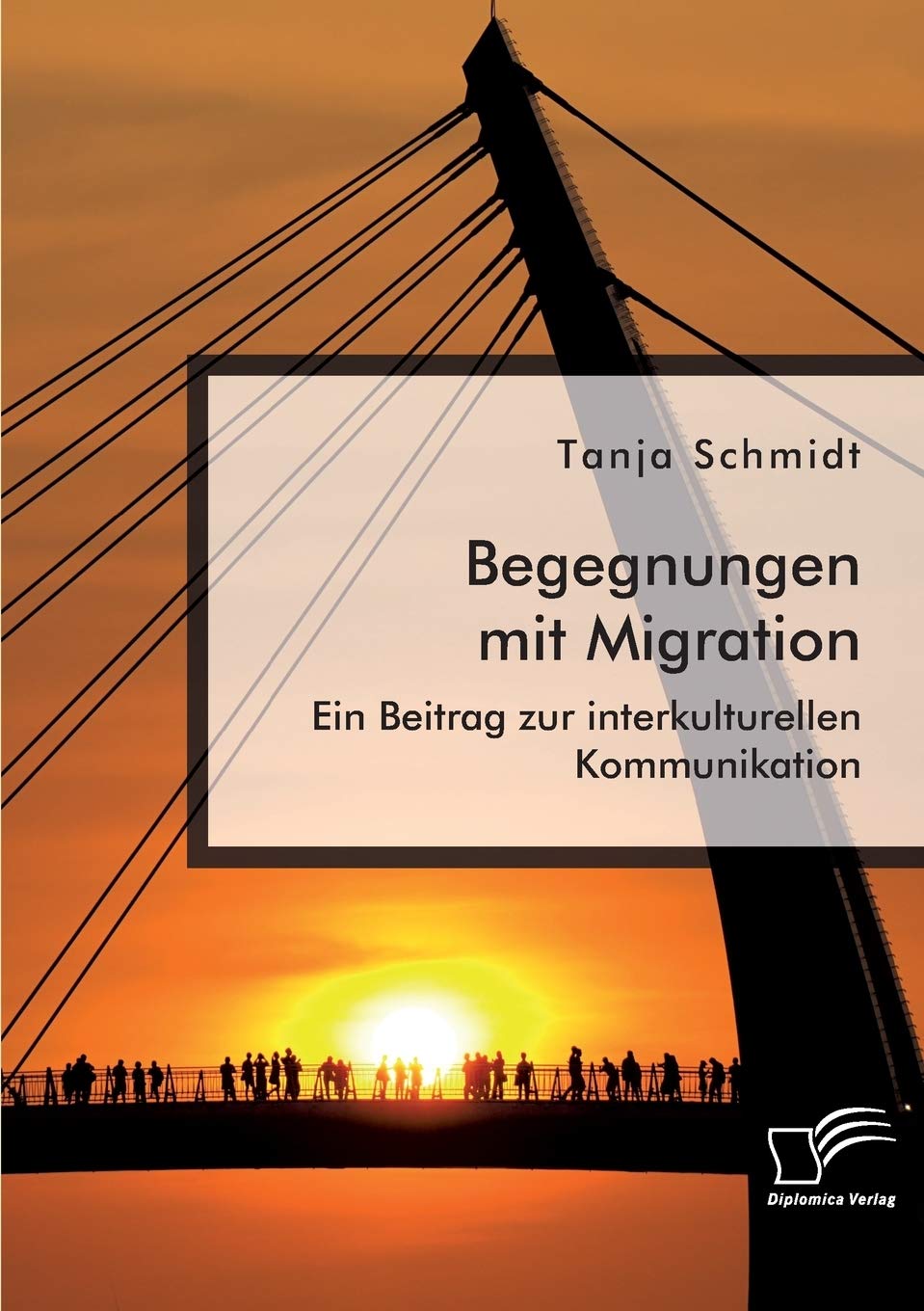 Begegnungen mit Migration. Ein Beitrag zur interkulturellen Kommunikation Books
