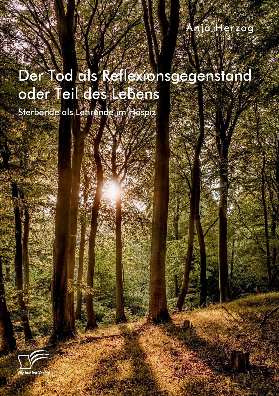 Der Tod als Reflexionsgegenstand oder Teil des Lebens. Sterbende als Lehrende im Hospiz Medicine
