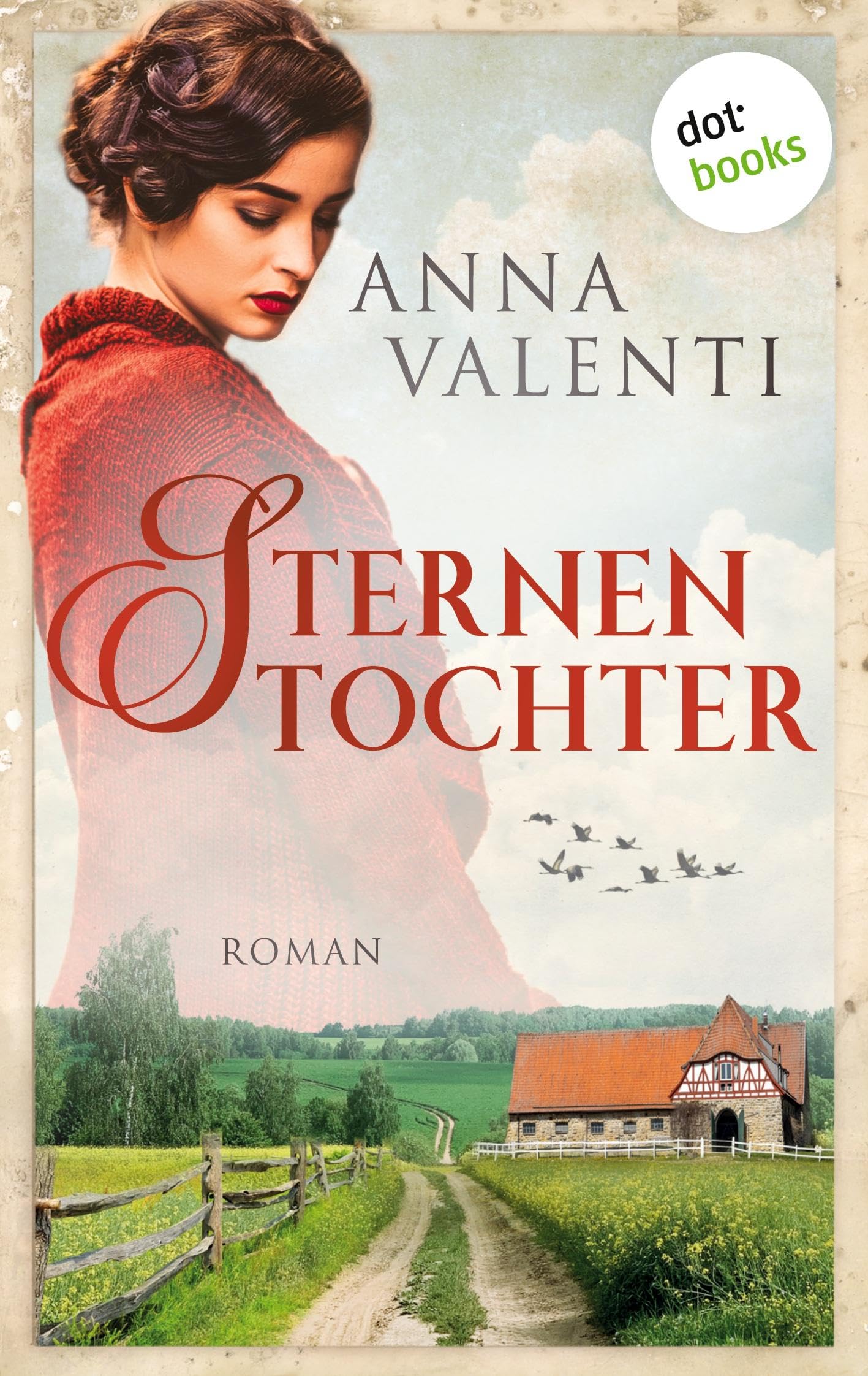 Sternentochter - Band 1: Roman Historical Fiction