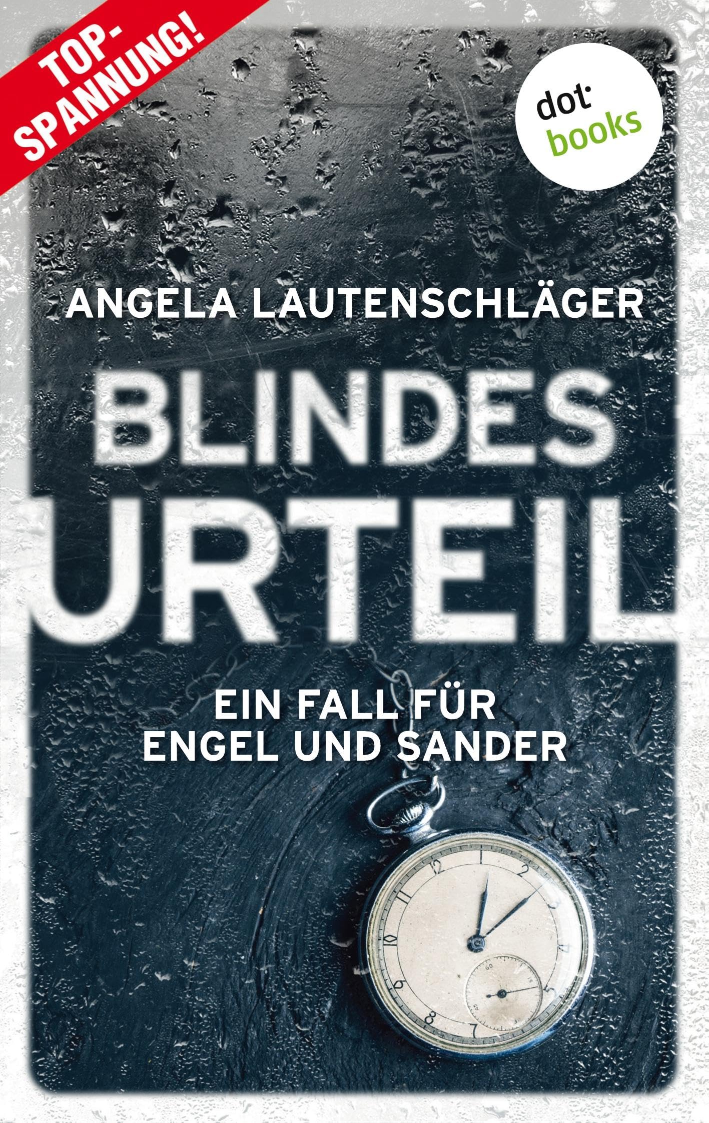Blindes Urteil - Ein Fall für Engel und Sander 4 book