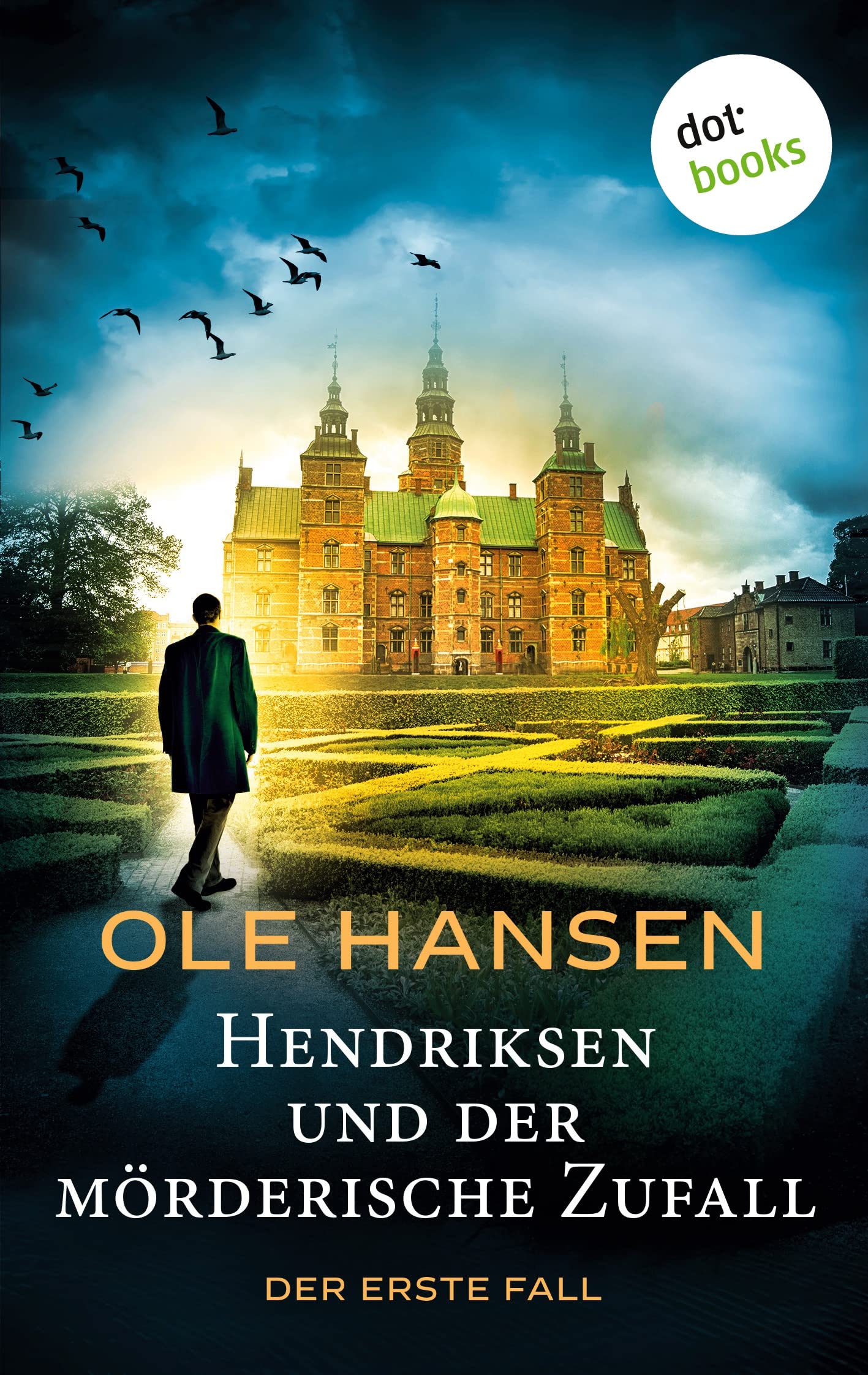 Hendriksen und der mörderische Zufall: Der erste Fall Contemporary literature