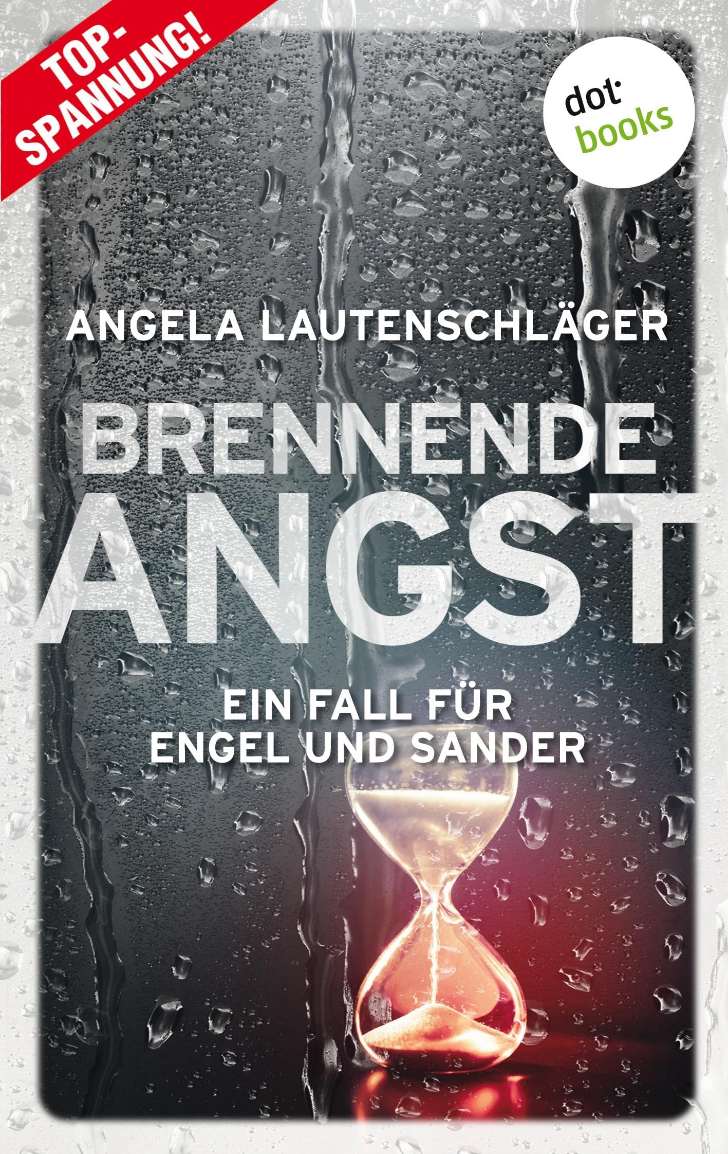 Brennende Angst - Ein Fall für Engel und Sander 6 book