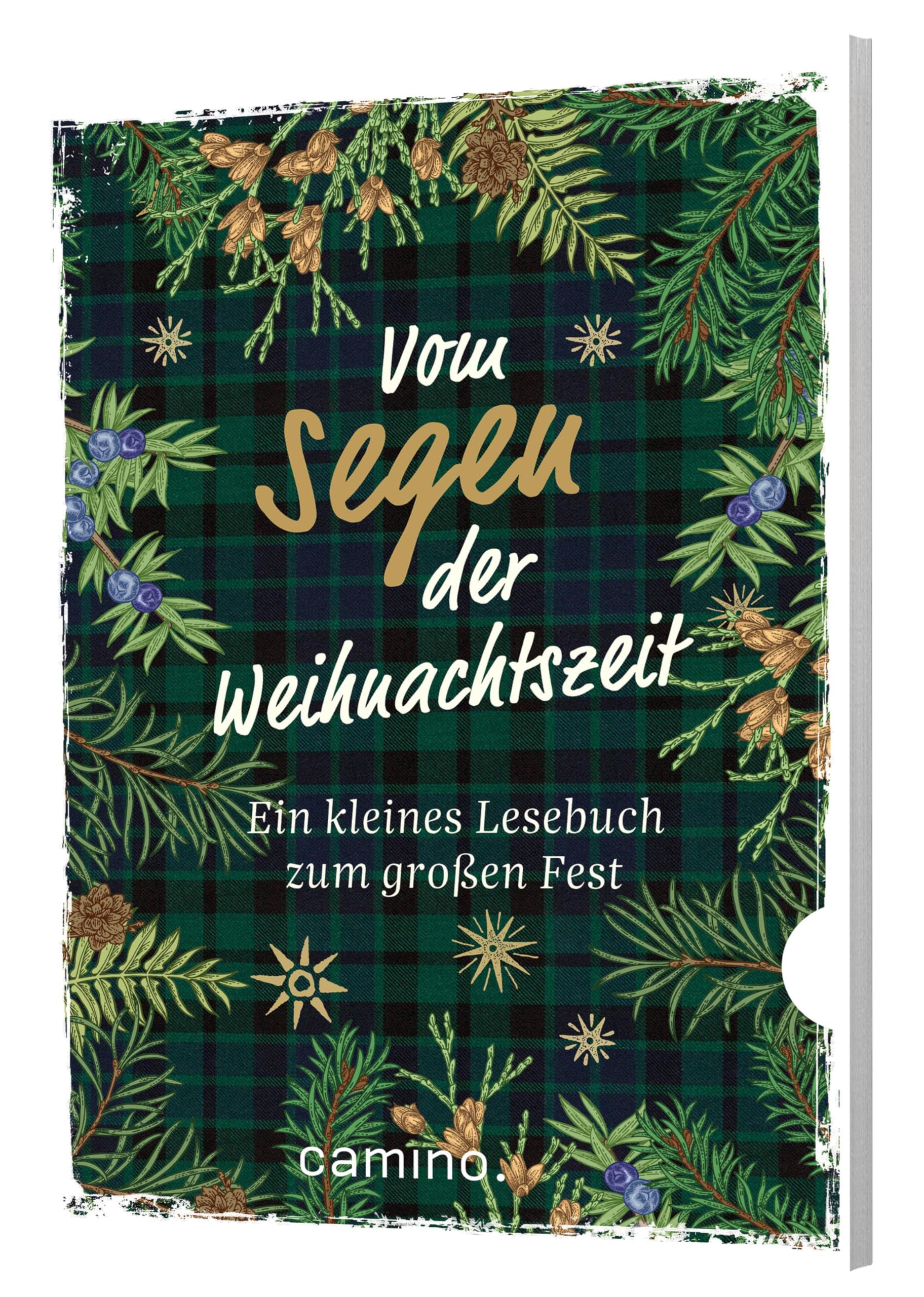 Vom Segen der Weihnachtszeit book