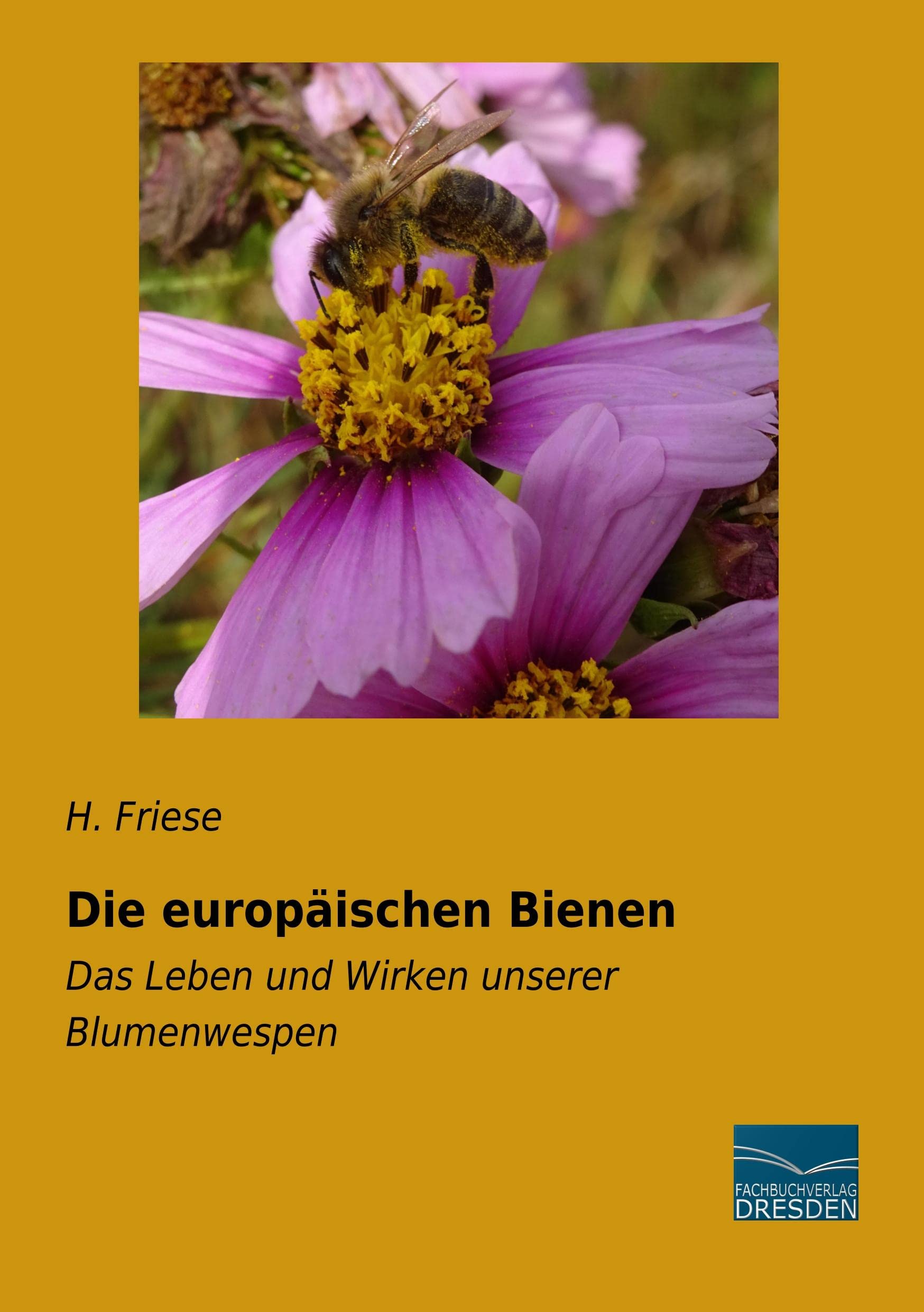 Die europäischen Bienen: Das Leben und Wirken unserer Blumenwespen Mathematics