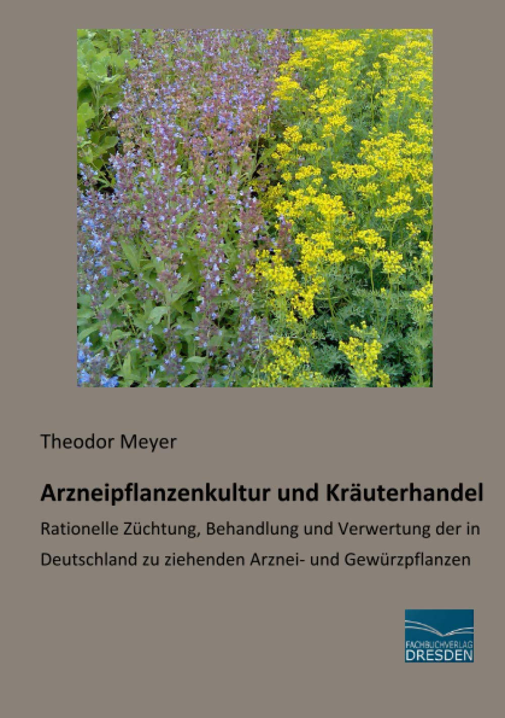 Arzneipflanzenkultur und Kräuterhandel Media & Communication