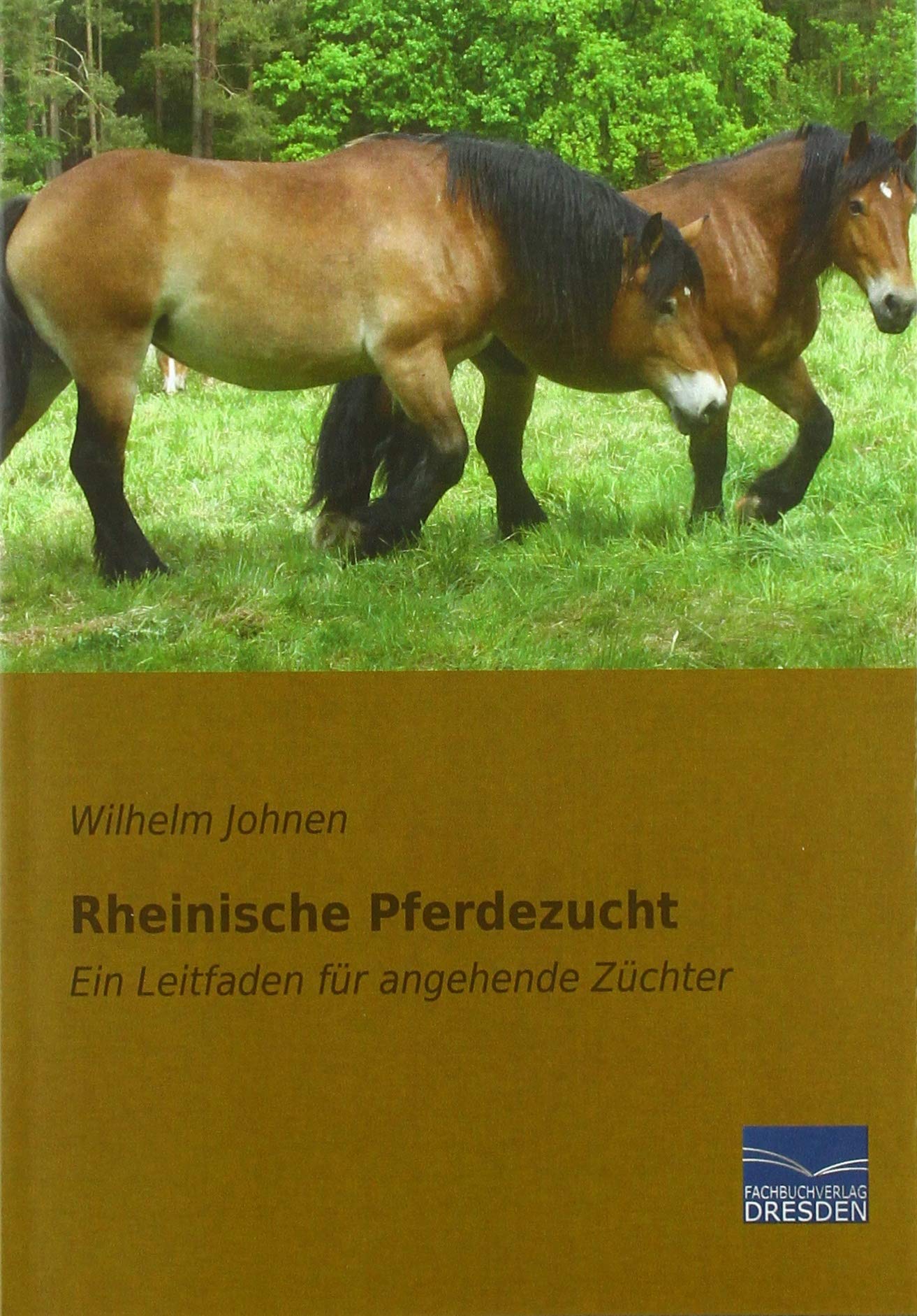 Rheinische Pferdezucht: Ein Leitfaden für angehende Züchter Pets