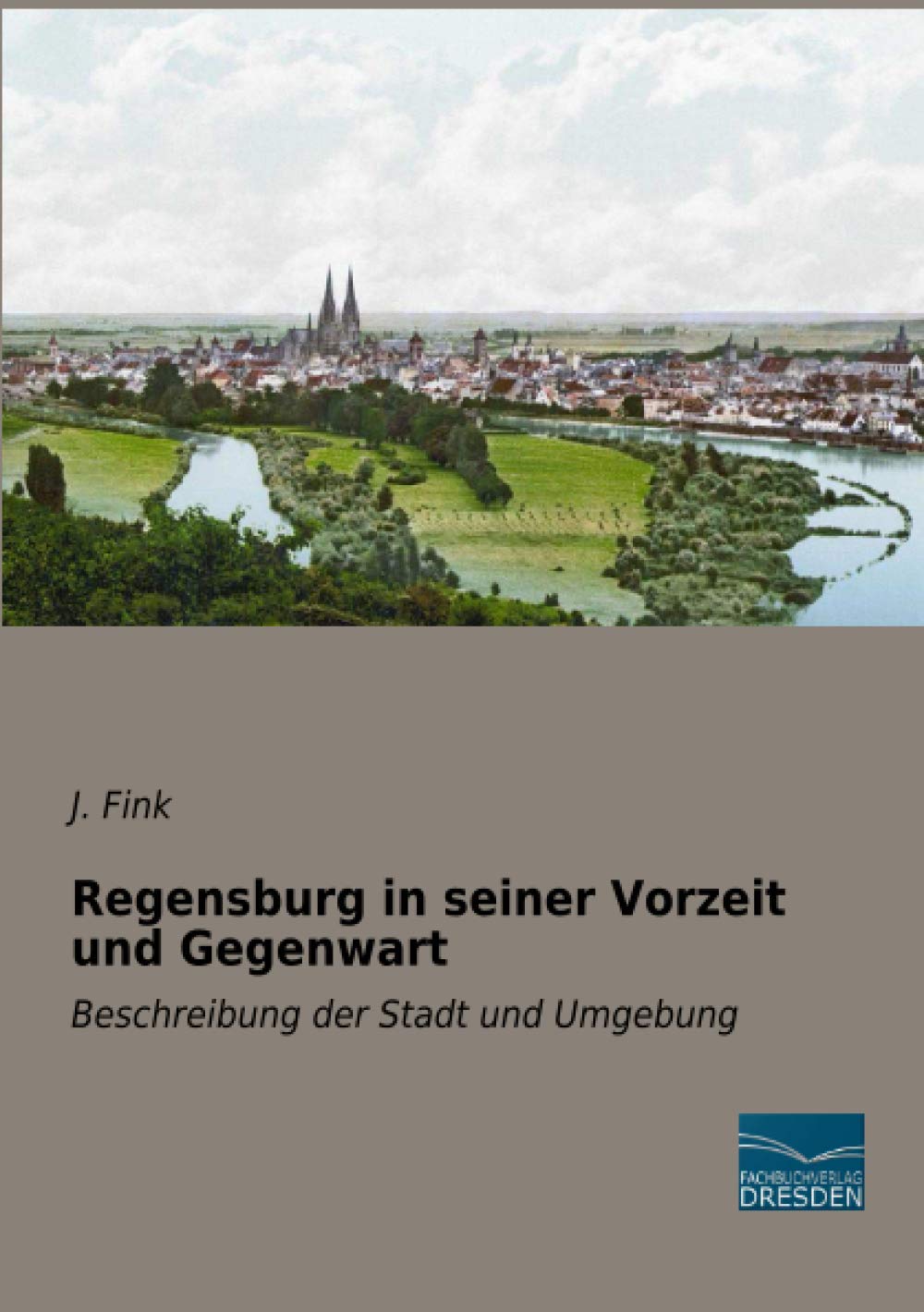 Regensburg in seiner Vorzeit und Gegenwart: Beschreibung der Stadt und Umgebung Politics & History