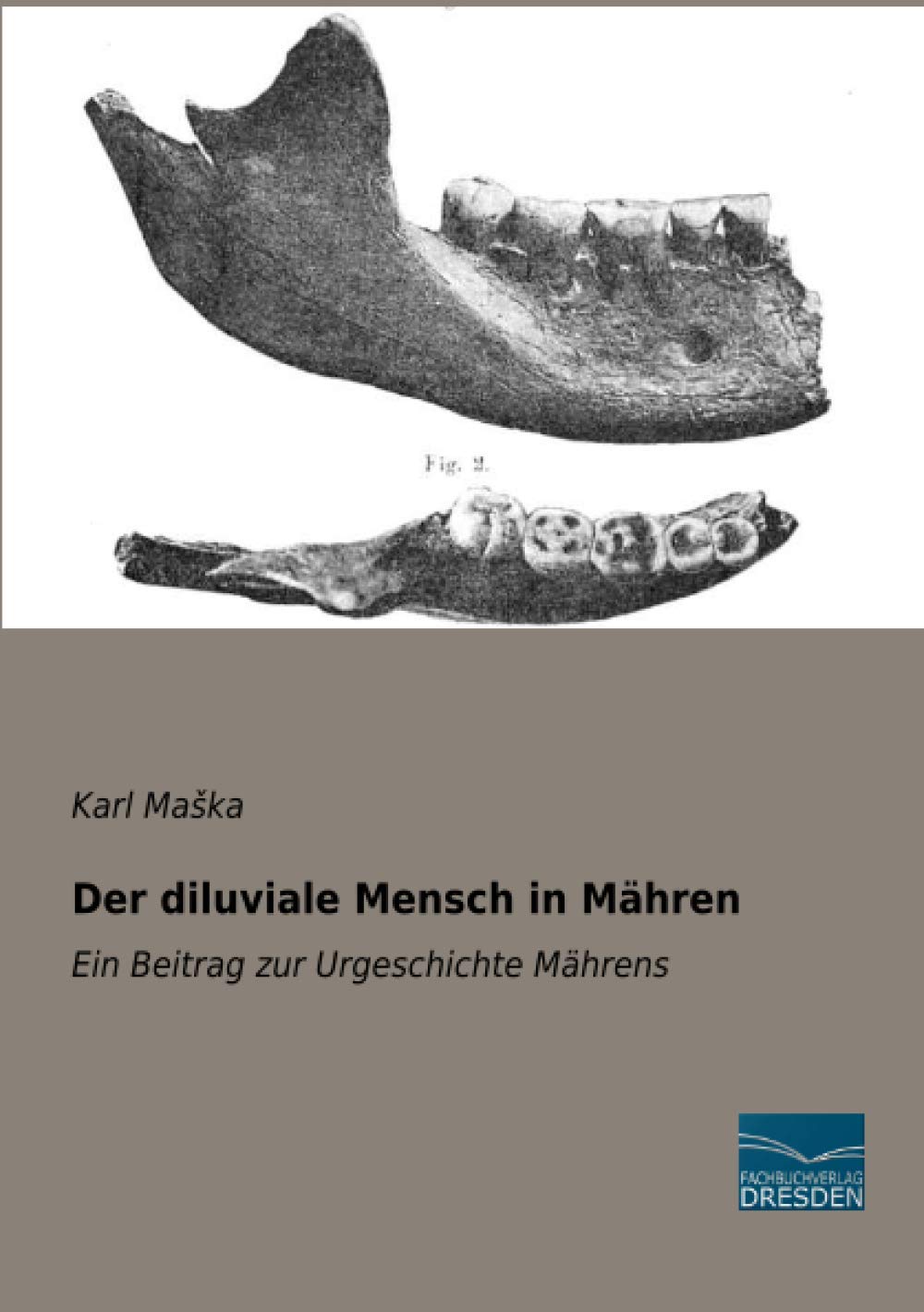 Der diluviale Mensch in Mähren: Ein Beitrag zur Urgeschichte Mährens Politics & History