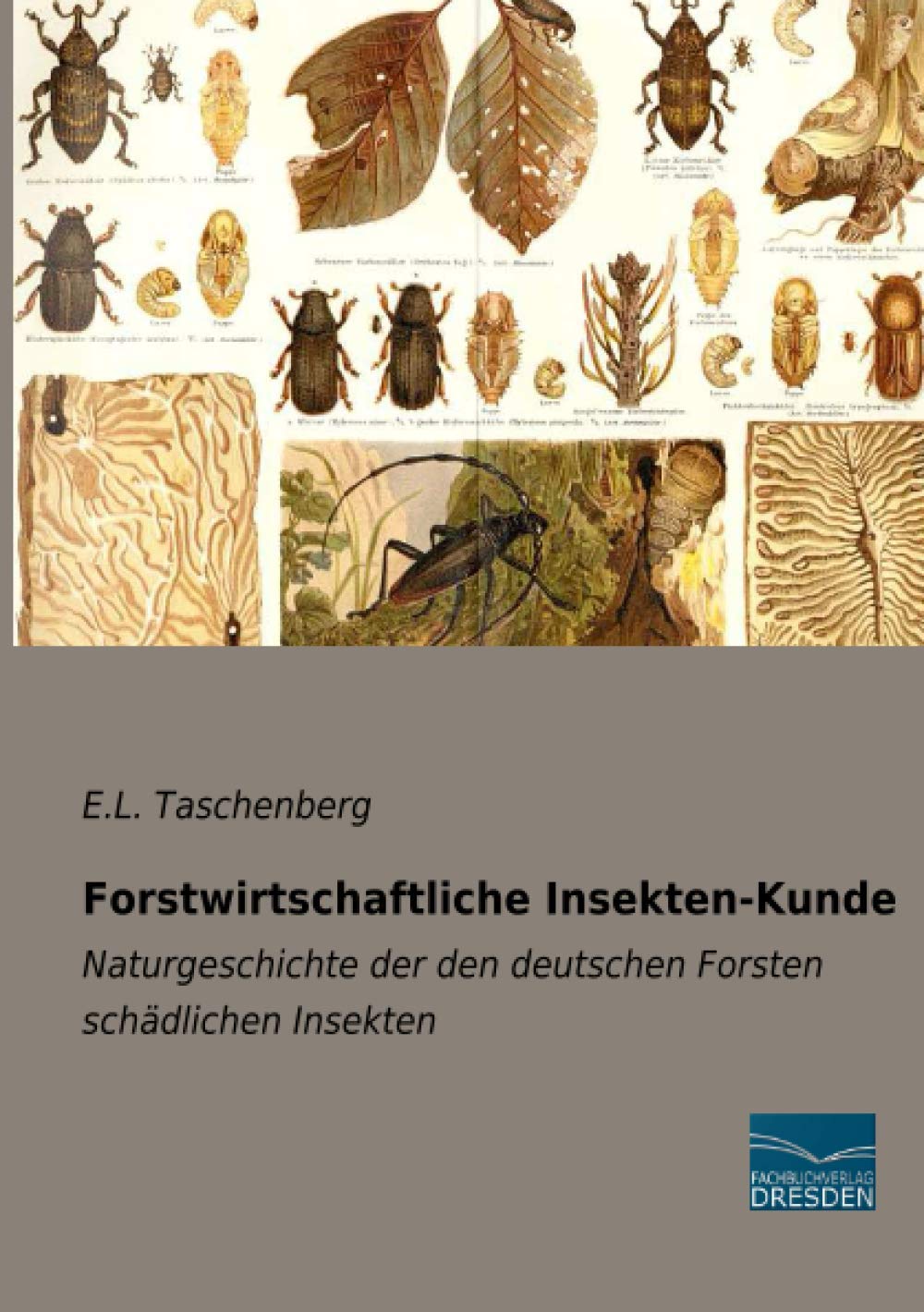 Forstwirtschaftliche Insekten-Kunde: Naturgeschichte der den deutschen Forsten schädlichen Insekten Mathematics