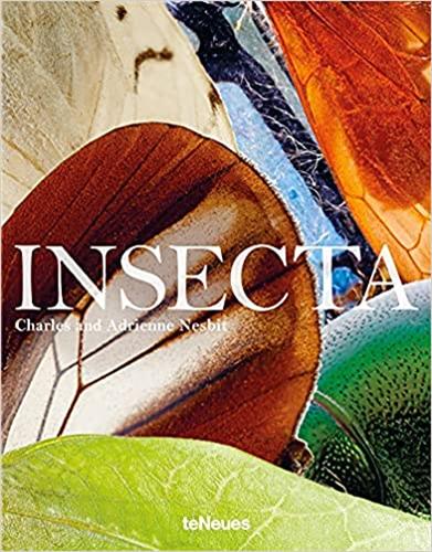 Insecta Mathematics