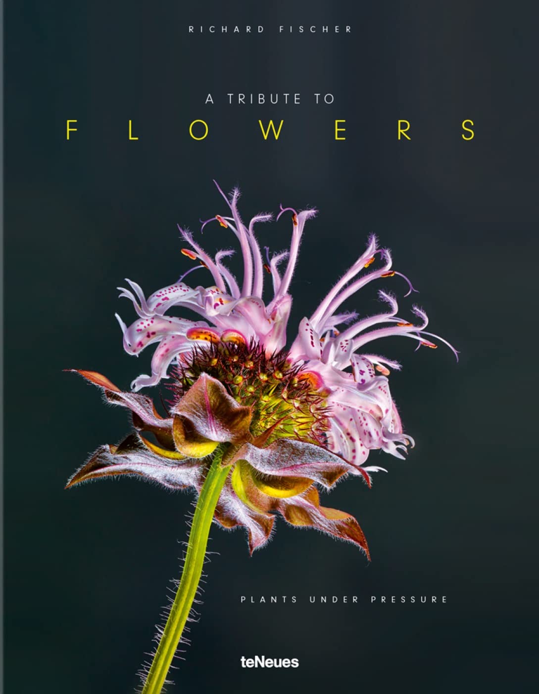 A Tribute to FLOWERS, Hardcover version: Plants under Pressure (Photographer) Contemporary literature