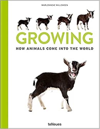 Growing : How Animals Come into our World Travel