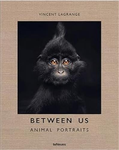 Between Us Animal Portraits Photography