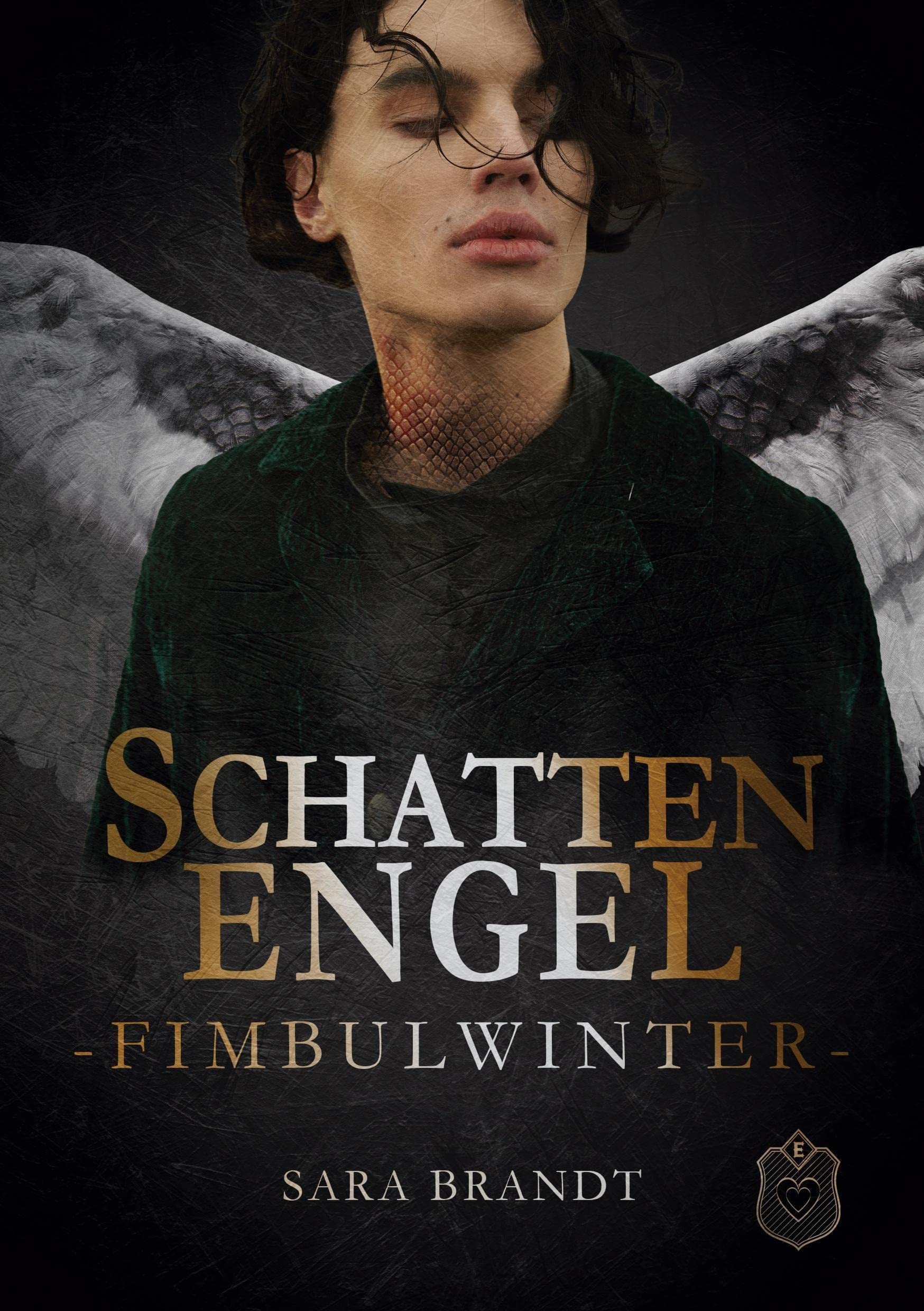 Schattenengel: Buch 4 - Fimbulwinter Contemporary literature