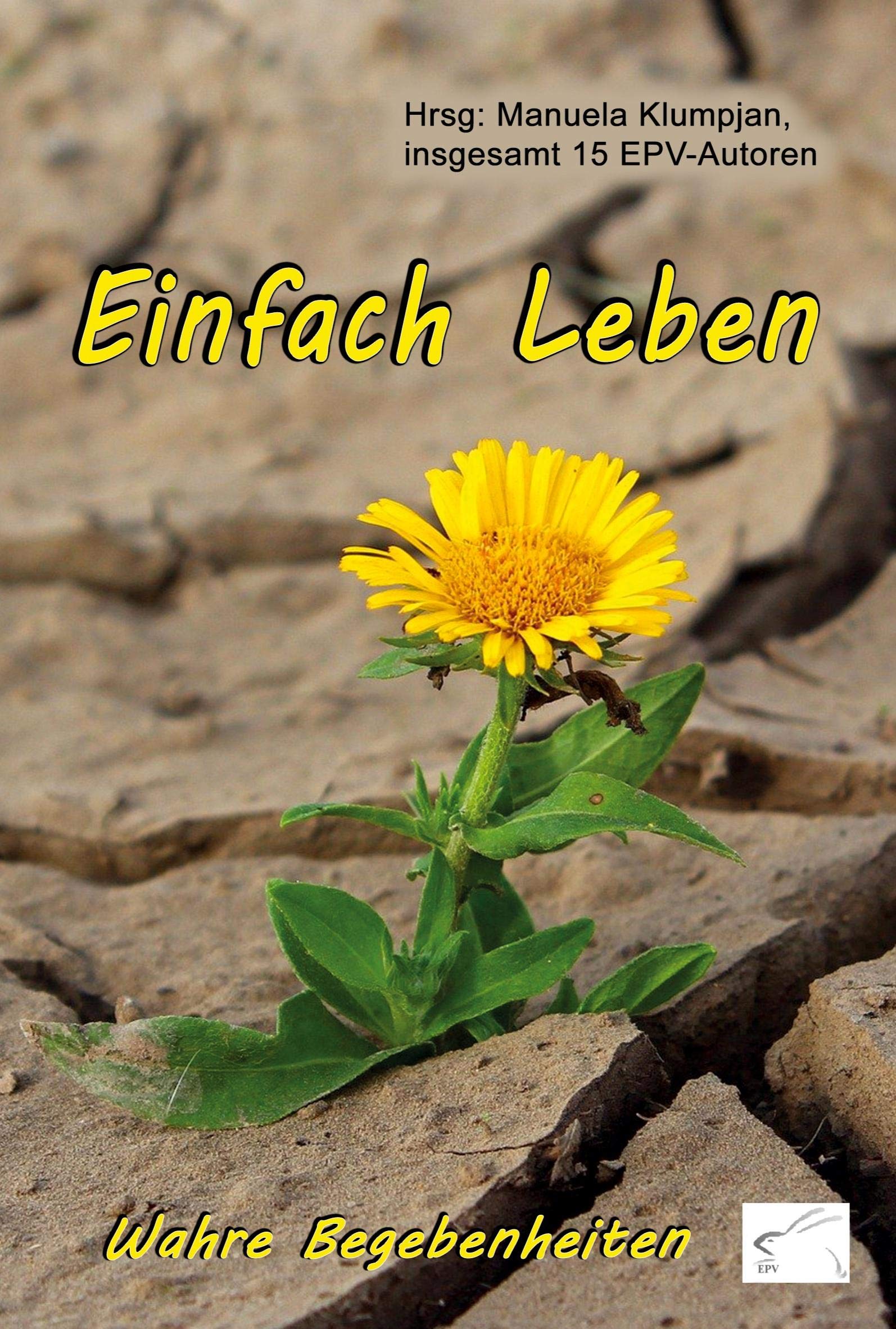 Einfach Leben: Wahre Begebenheiten Essays & Short Stories