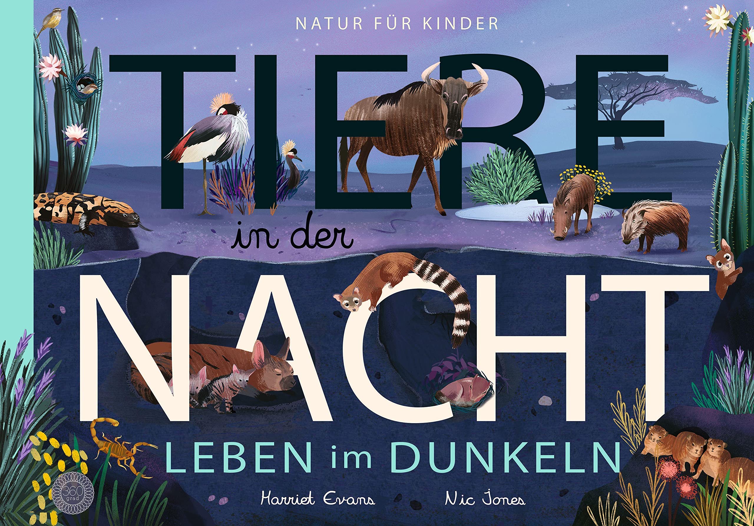 Tiere in der Nacht - Leben im Dunkeln: Natur für Kinder - Mit Ausklappseiten Children's books