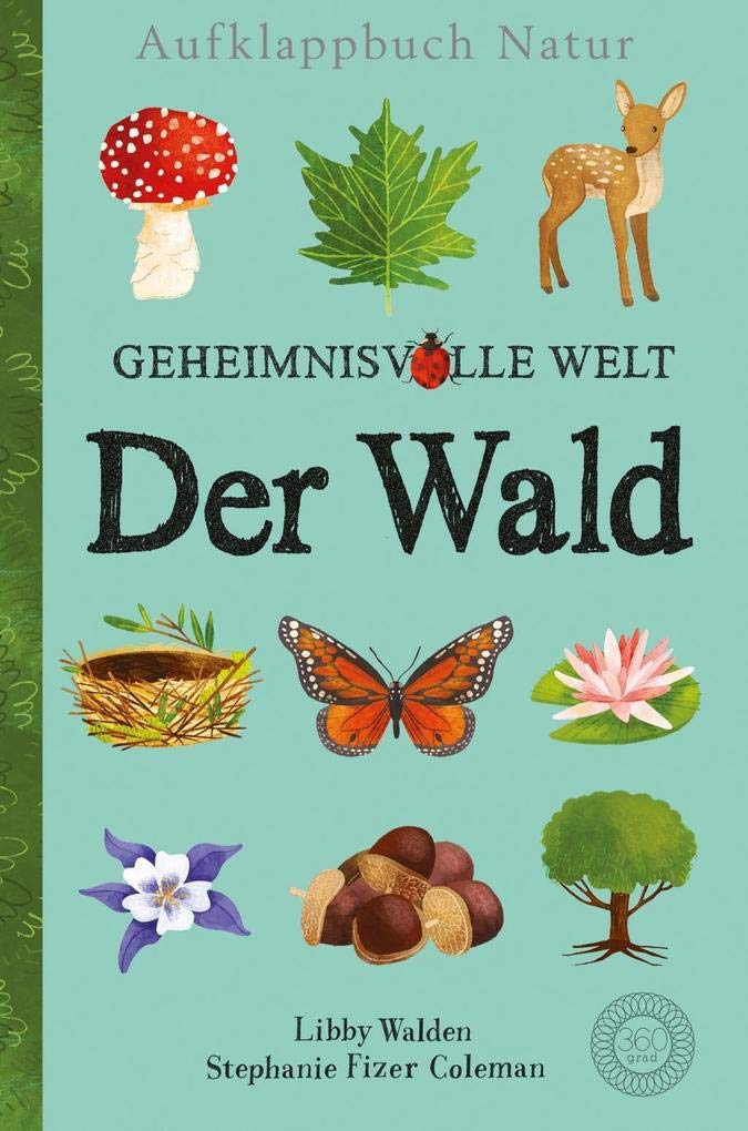Aufklappbuch Natur - Geheimnisvolle Welt: Der Wald Children's books