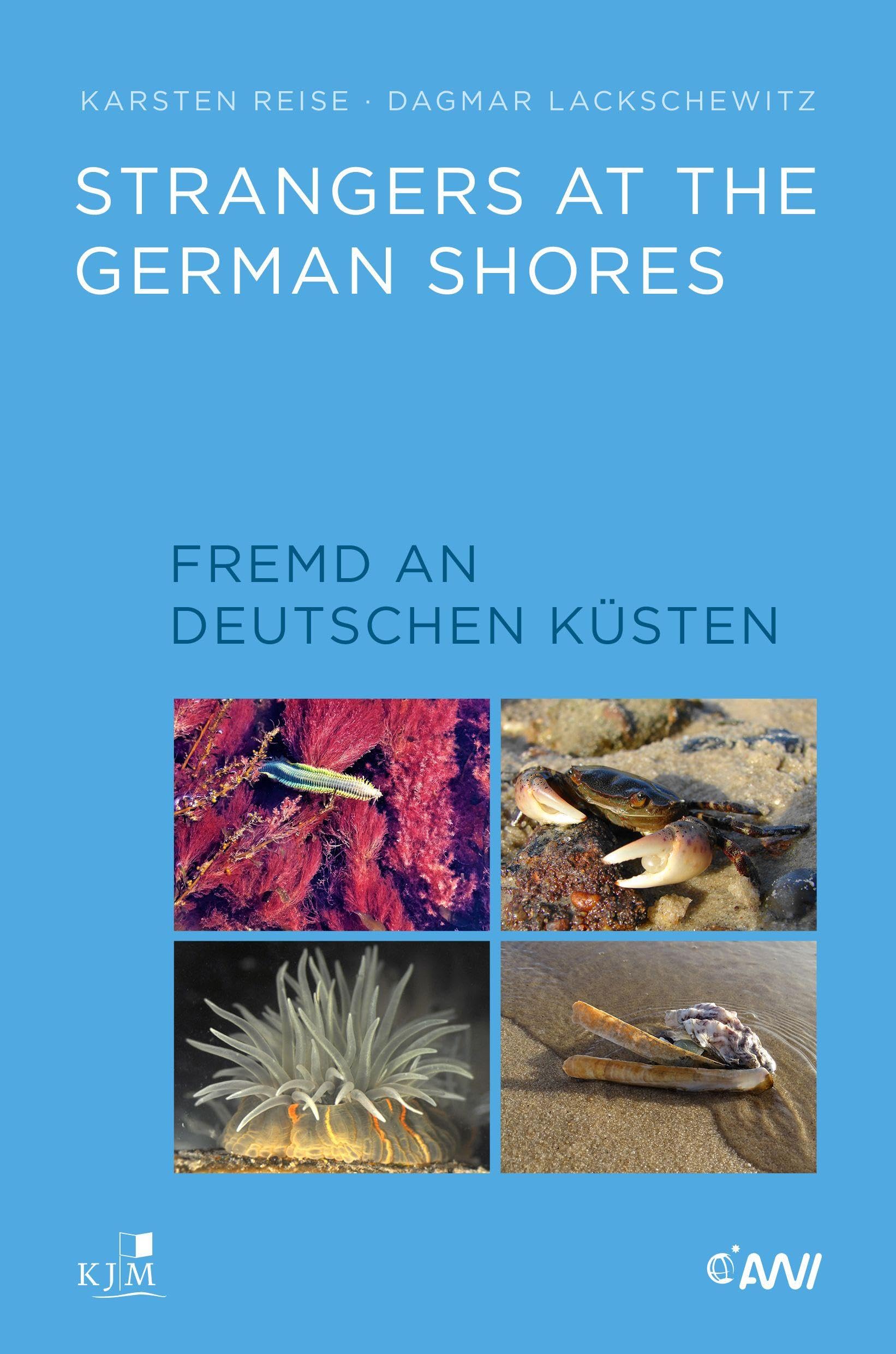 Strangers at the German Shores. Fremd an deutschen Küsten Medicine