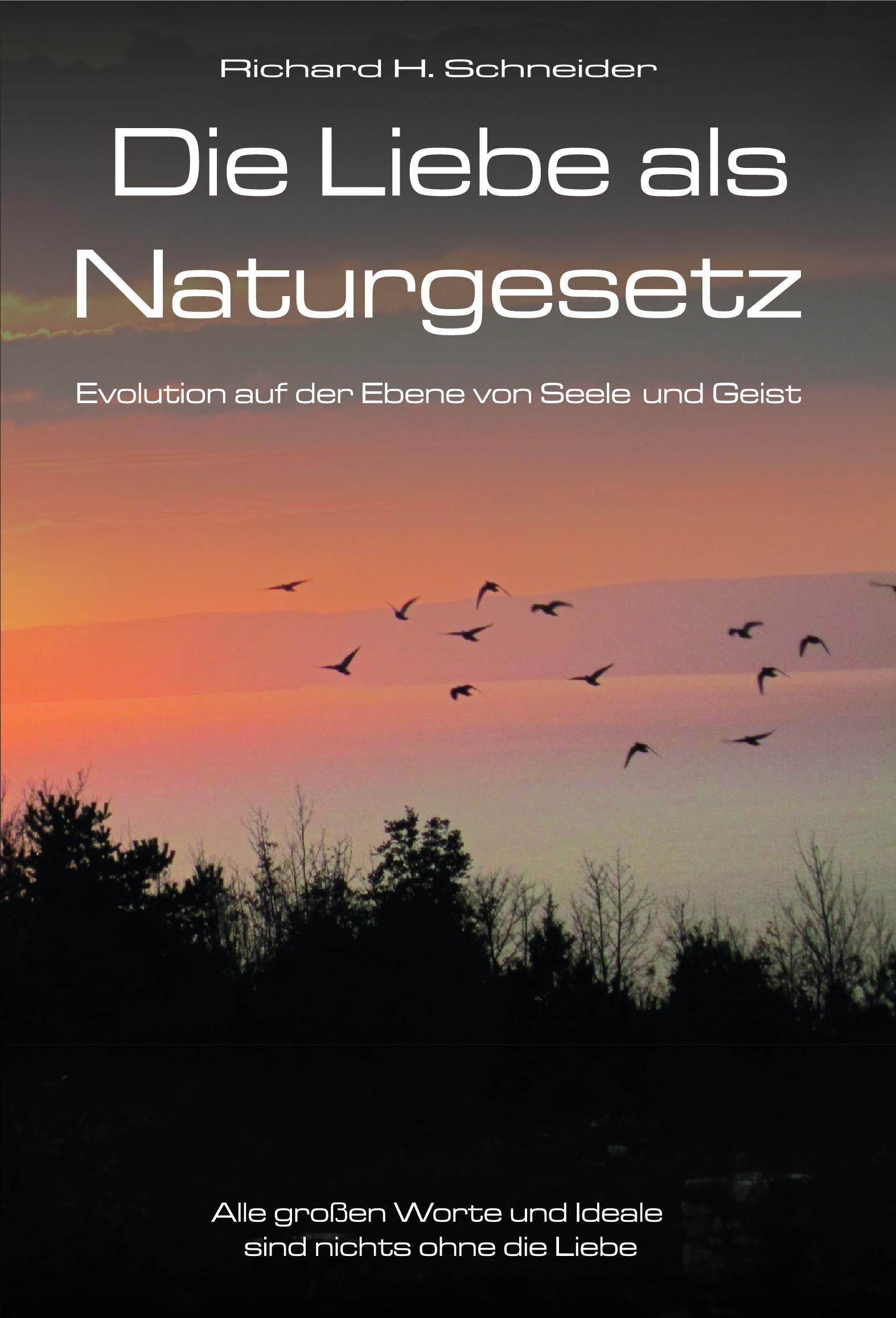 Die Liebe als Naturgesetz: Evolution auf der Ebene von Seele und Geist Contemporary literature