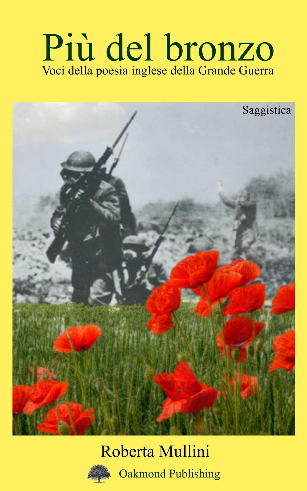 Più del bronzo: Voci della poesia inglese della Grande Guerra book