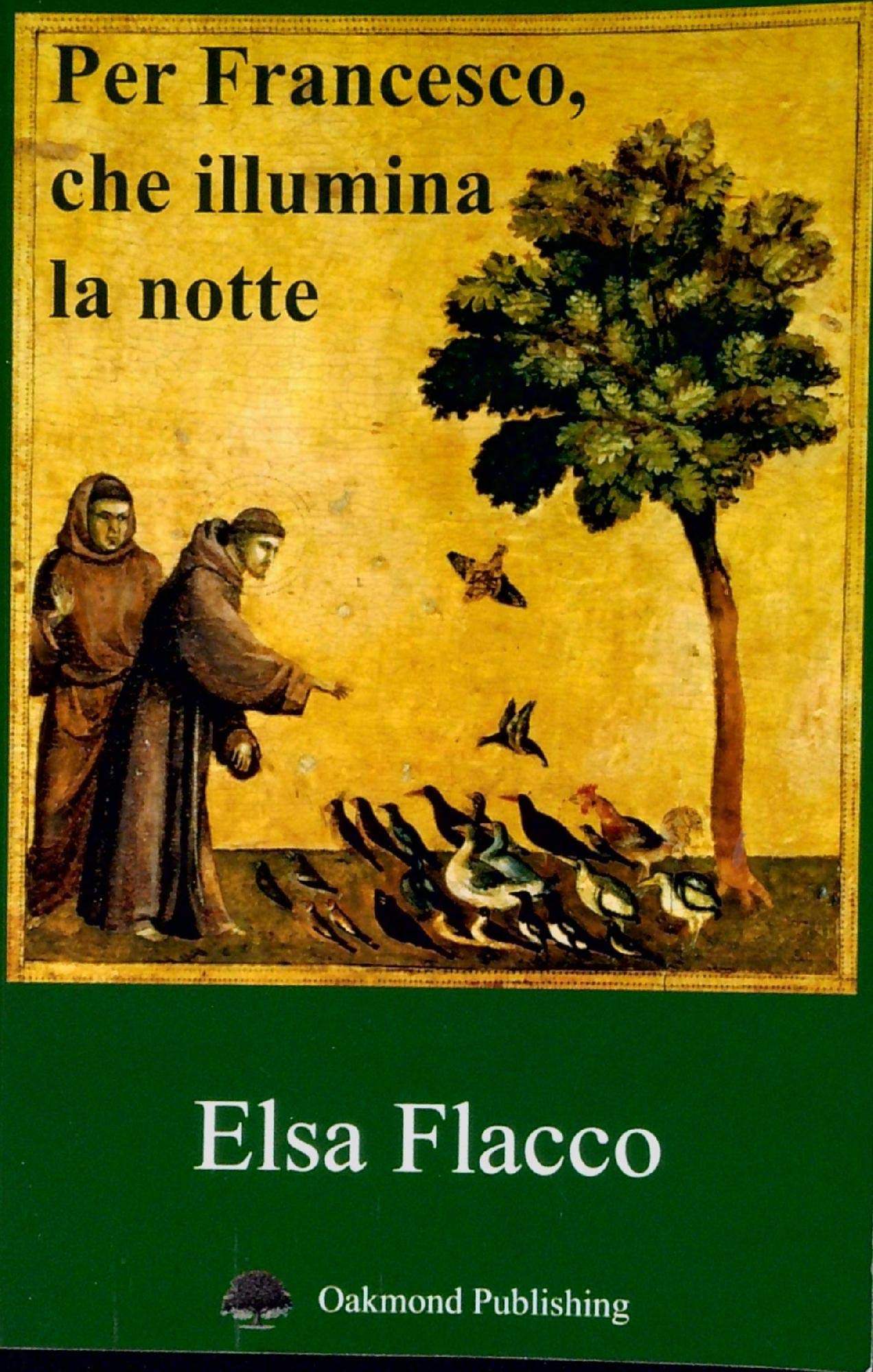 Per Francesco, che illumina la notte book