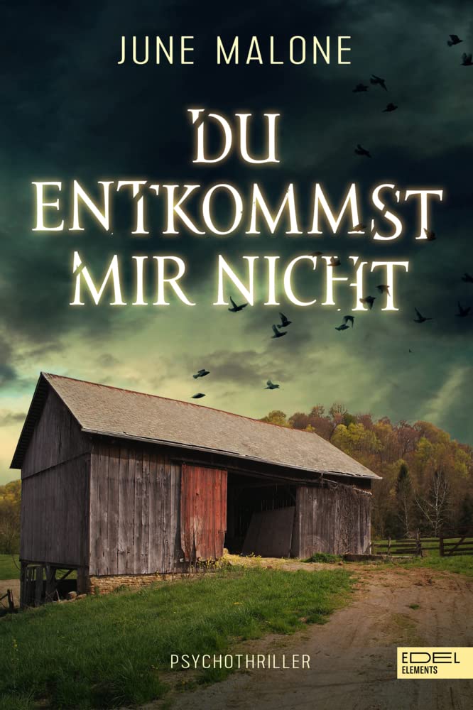 Du entkommst mir nicht Contemporary literature Books