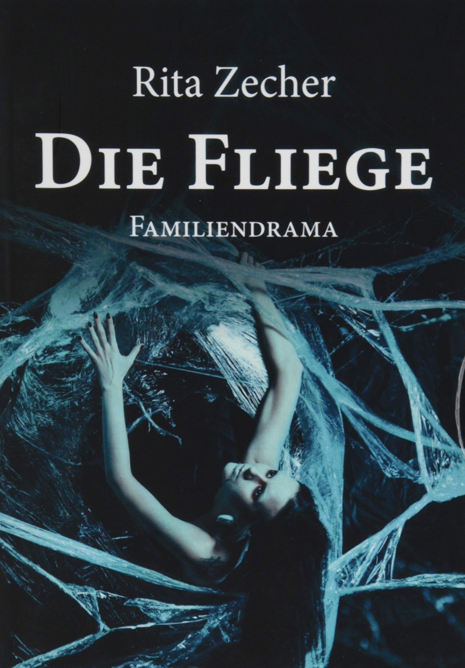 Die Fliege: Familiendrama Contemporary literature