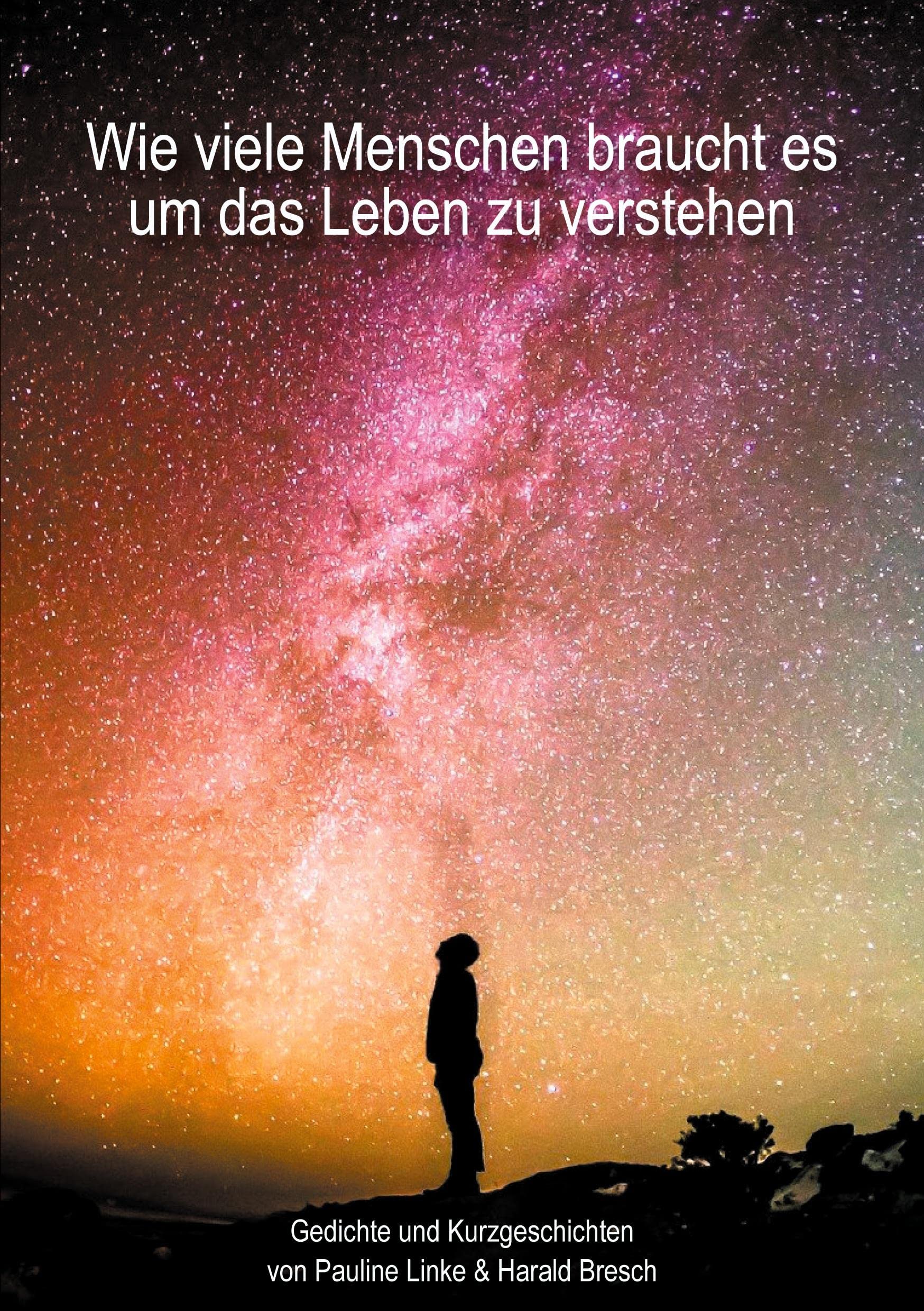 Wie viele Menschen braucht es um das Leben zu verstehen book