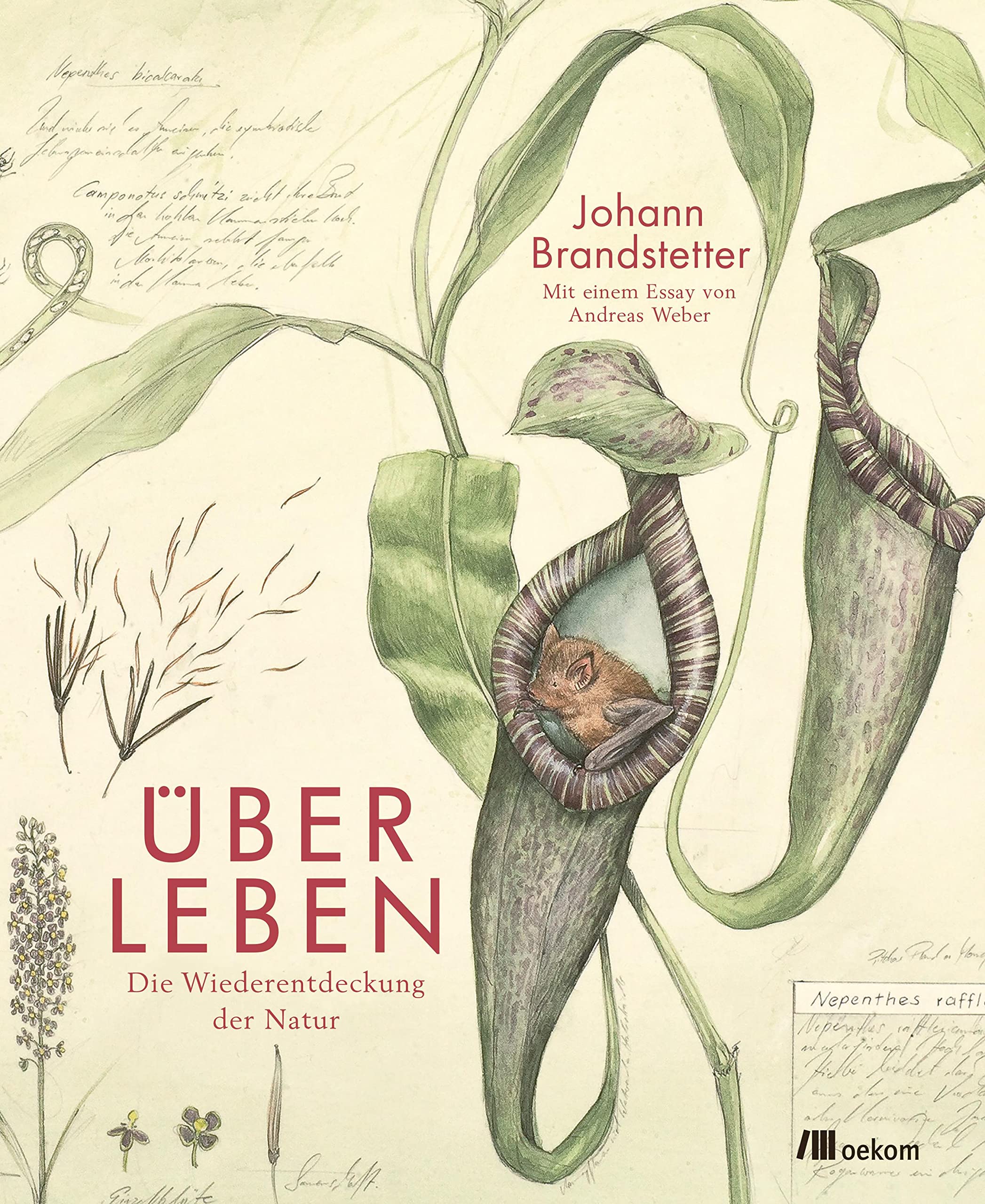 Über Leben: Die Wiederentdeckung der Natur. Kunst und Ökologie im Anthropozän, ein Essay von Johann Brandstetter und Andreas Weber über Nachhaltigkeit und Biodiversität Film, Art & Culture