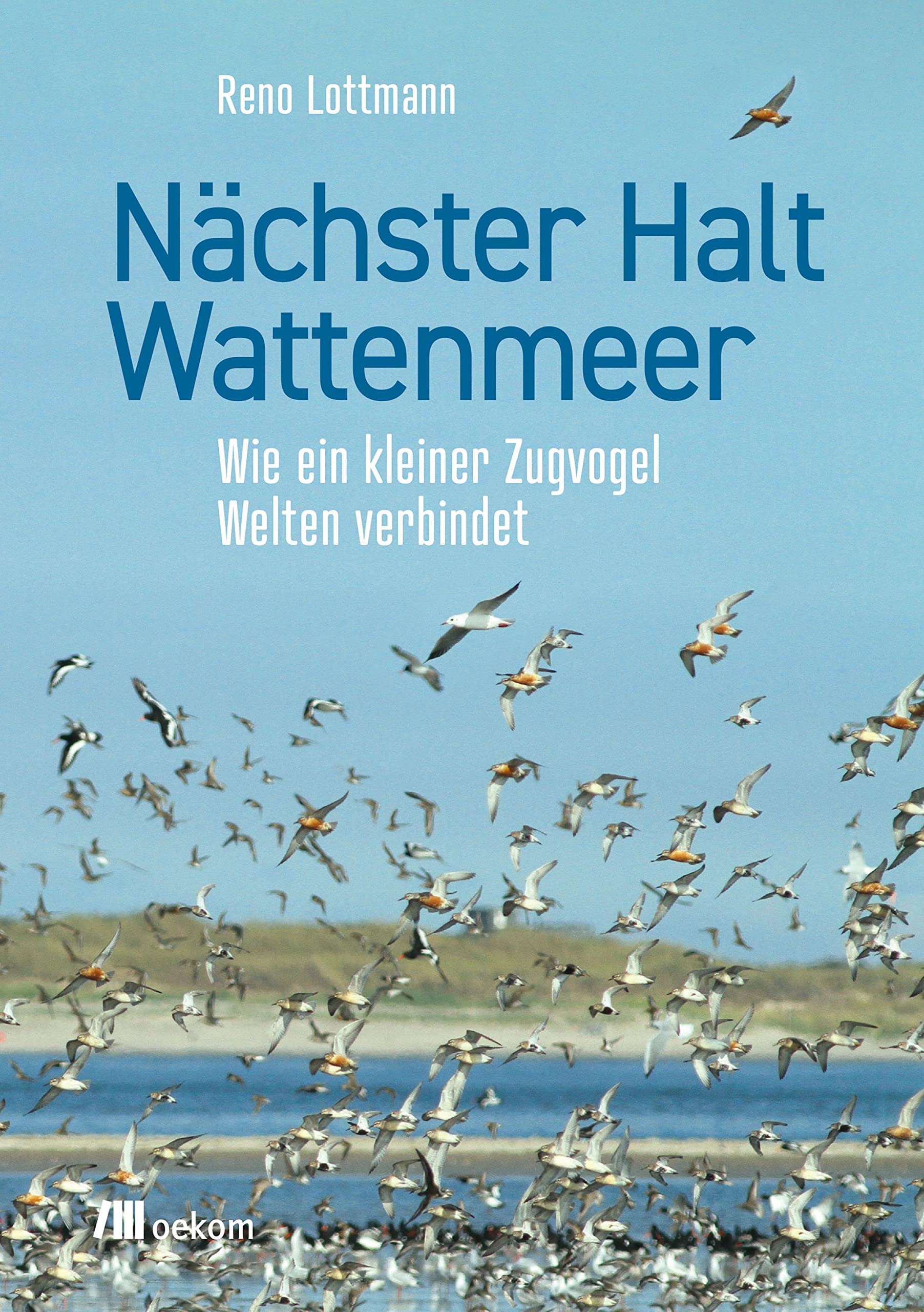 Nächster Halt Wattenmeer: Wie ein kleiner Zugvogel Welten verbindet Mathematics