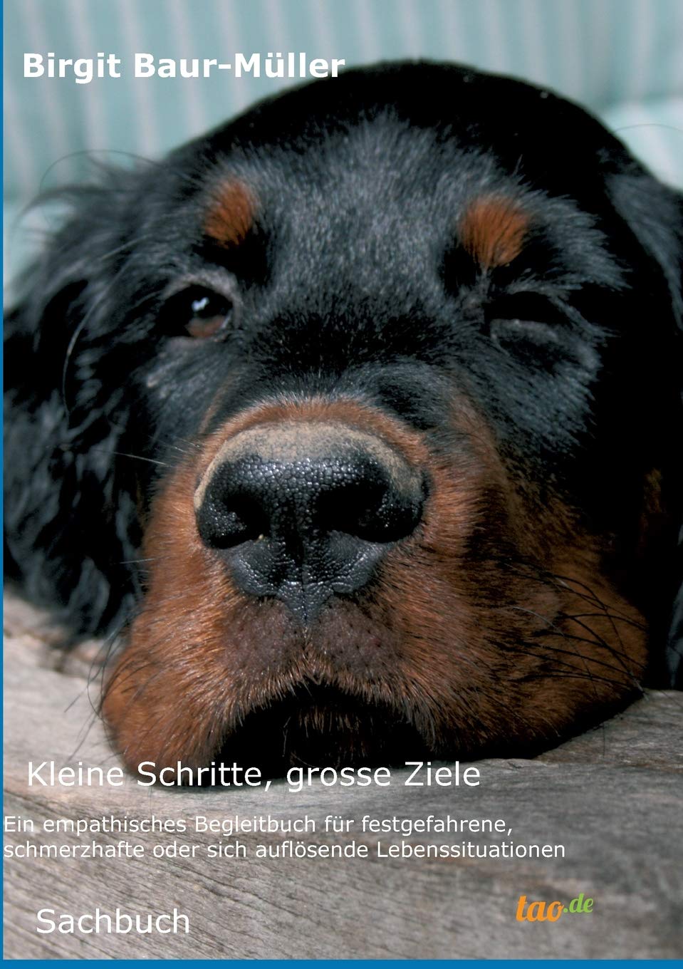 Product Image: Kleine Schritte, grosse Ziele