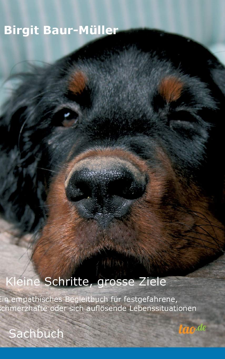 Product Image: Kleine Schritte, grosse Ziele