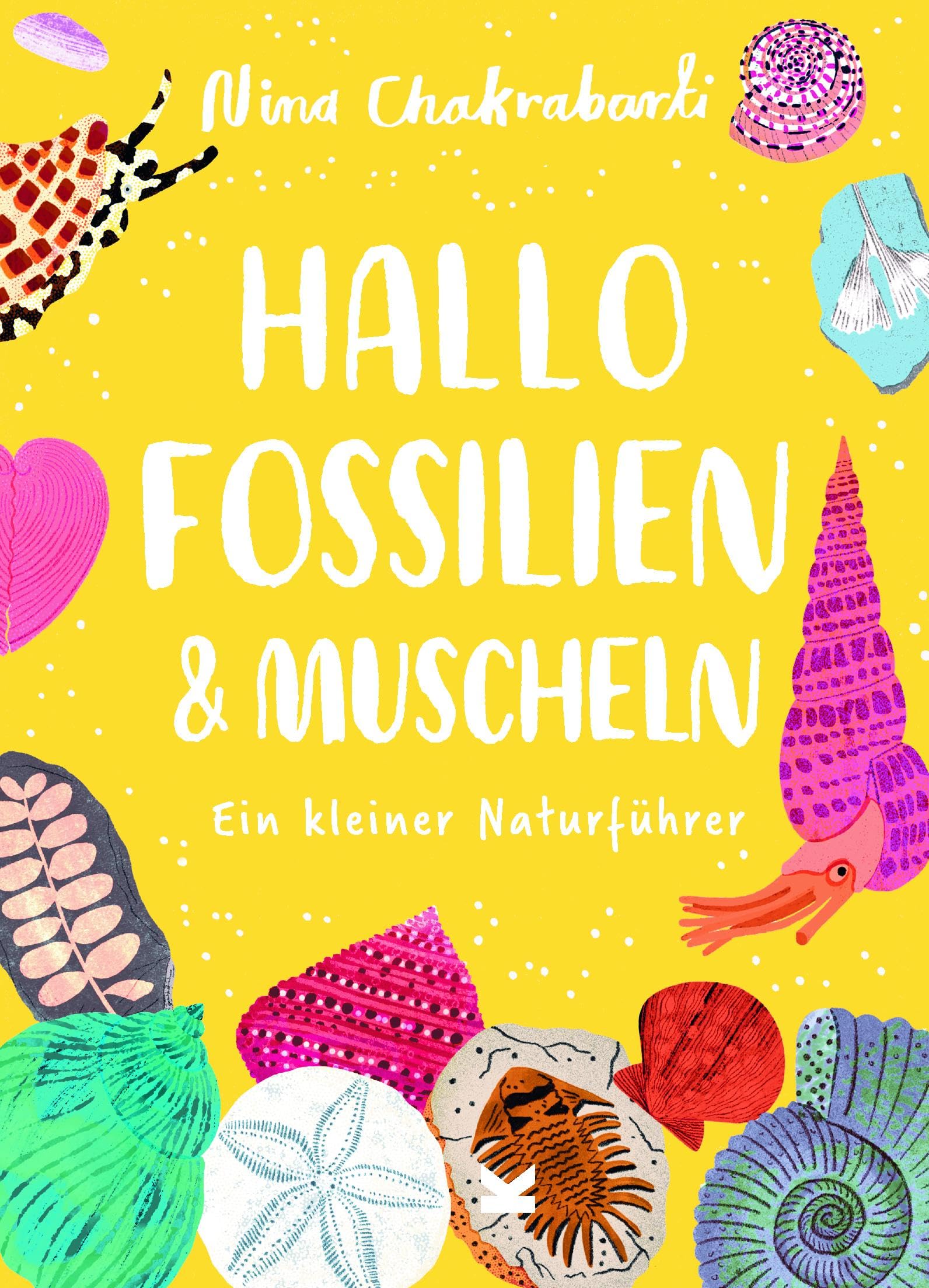 Hallo Fossilien & Muscheln Business & Technology