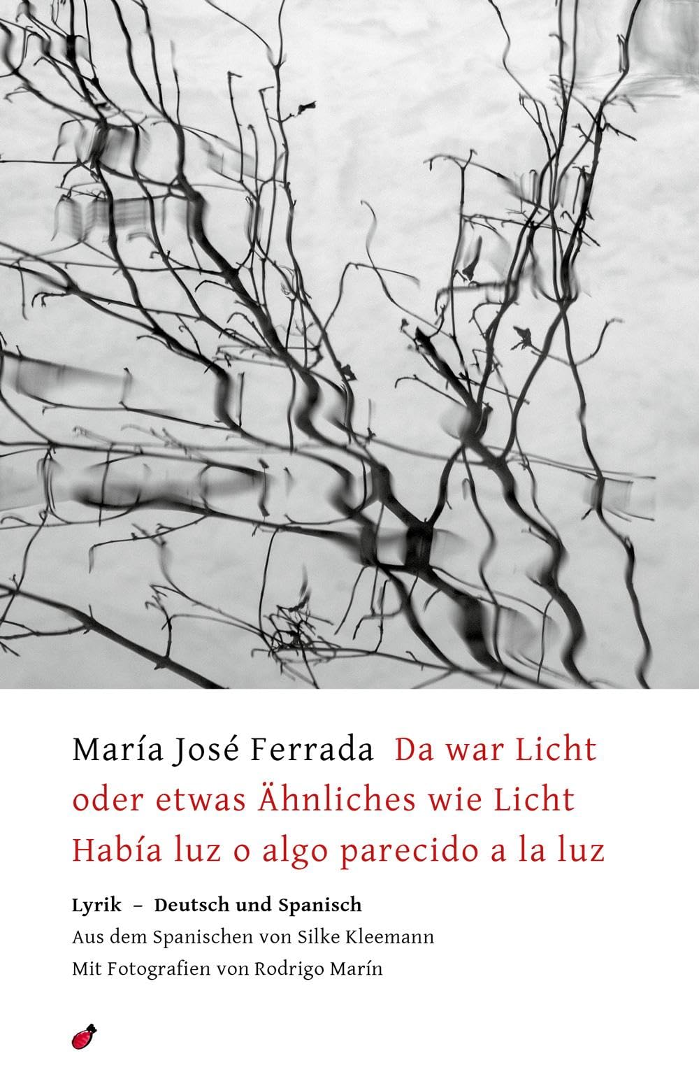 Da war Licht oder etwas Ähnliches wie Licht / Había luz o algo parecido a la luz Poetry