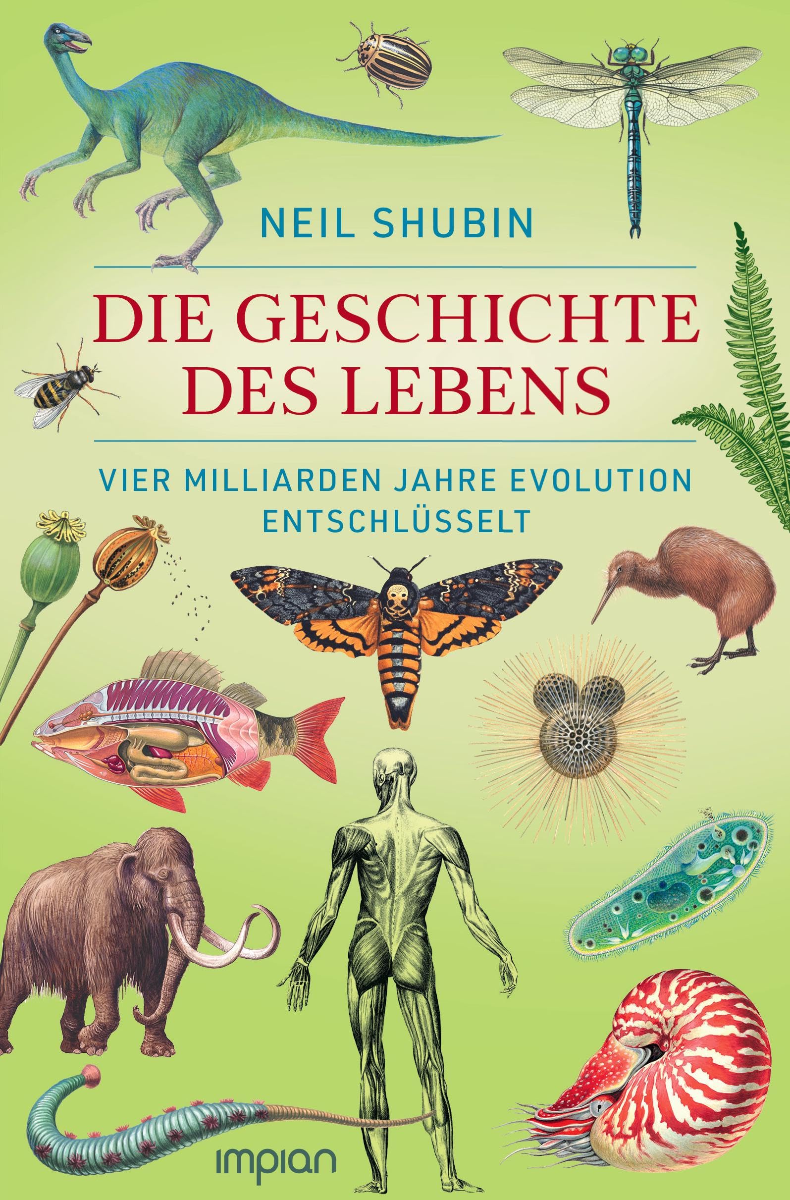 Die Geschichte des Lebens: Vier Milliarden Jahre Evolution entschlüsselt Leisure, Home & Garden