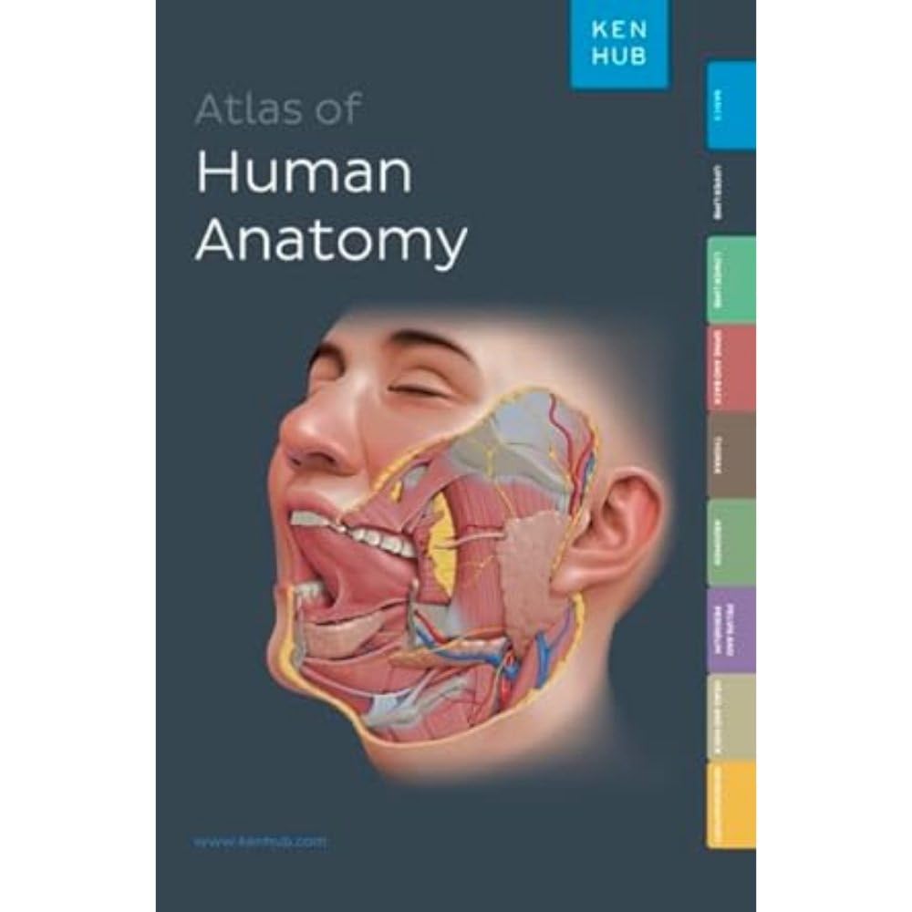 Kenhub Atlas of Human Anatomy Medicine