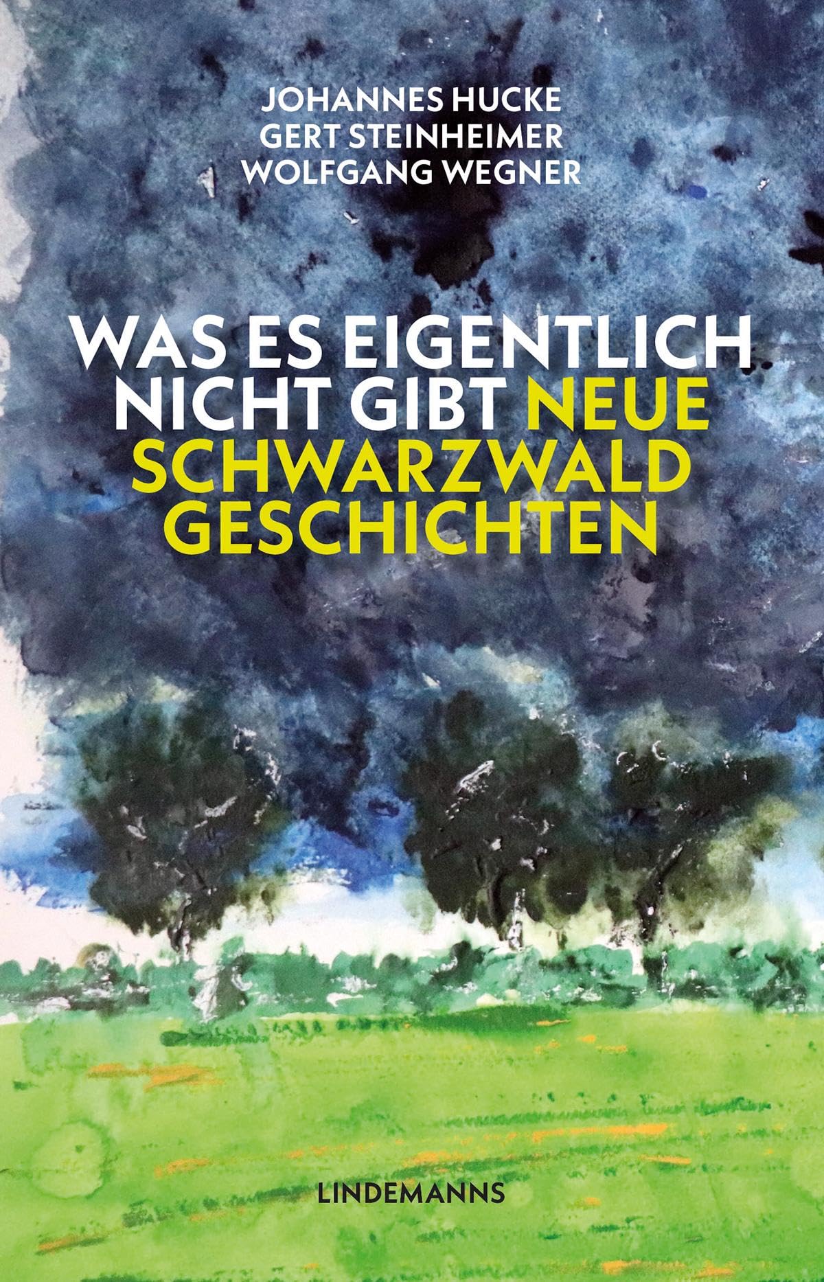 Was es eigentlich nicht gibt: Neue Schwarzwaldgeschichten Contemporary literature