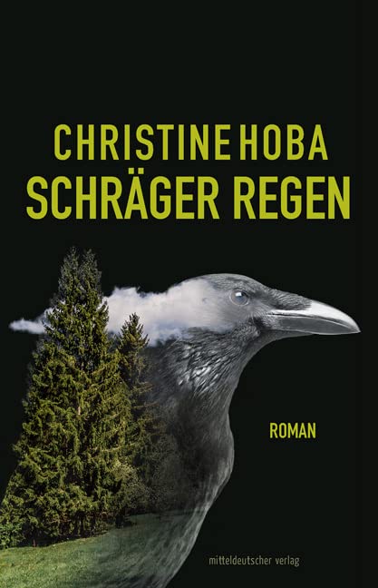 Schräger Regen: Roman Contemporary literature
