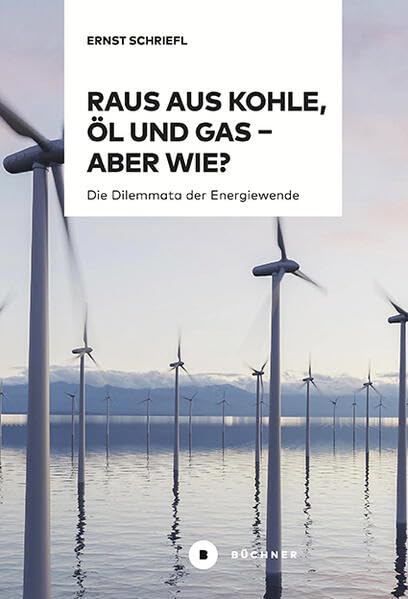 Raus aus Kohle, Öl und Gas - aber wie? Books