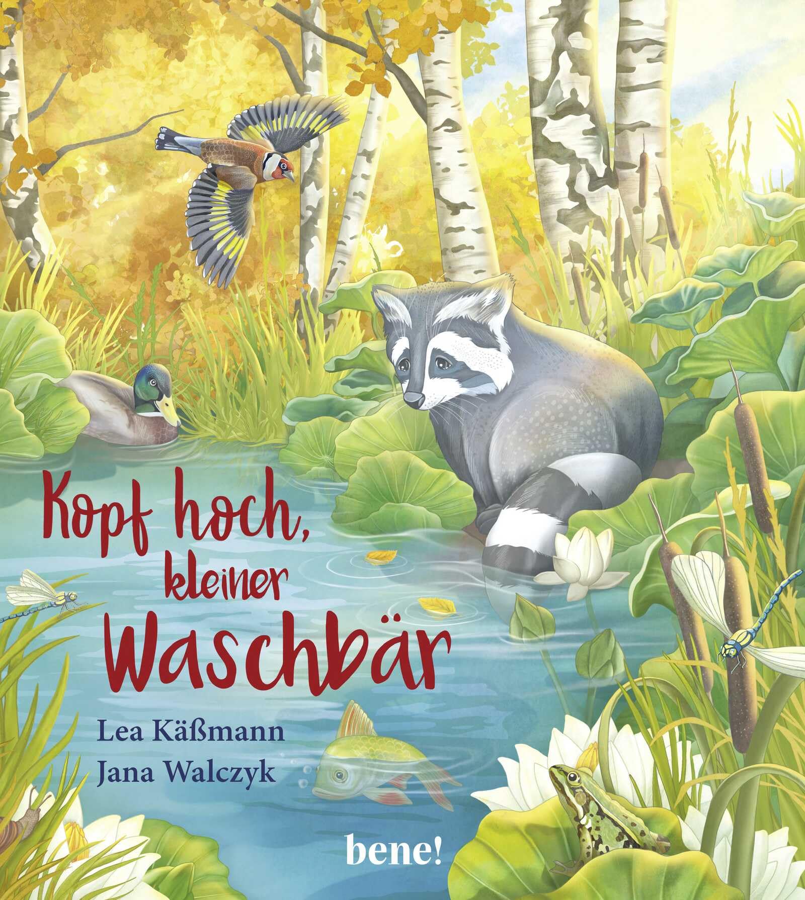 Kopf hoch, kleiner Waschbär - ein Bilderbuch für Kinder ab 2 Jahren Lifestyle