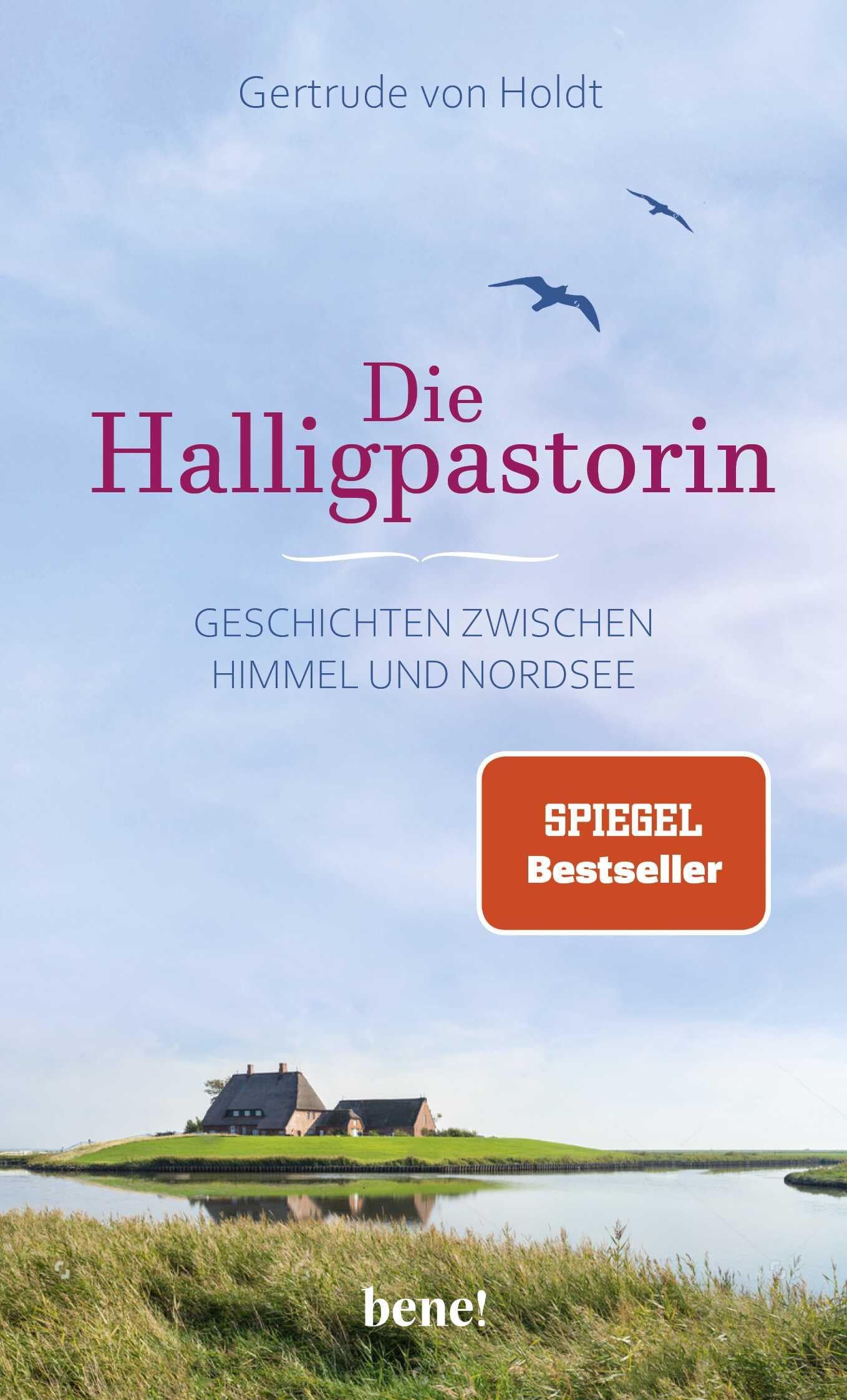 Die Halligpastorin Art & Literature
