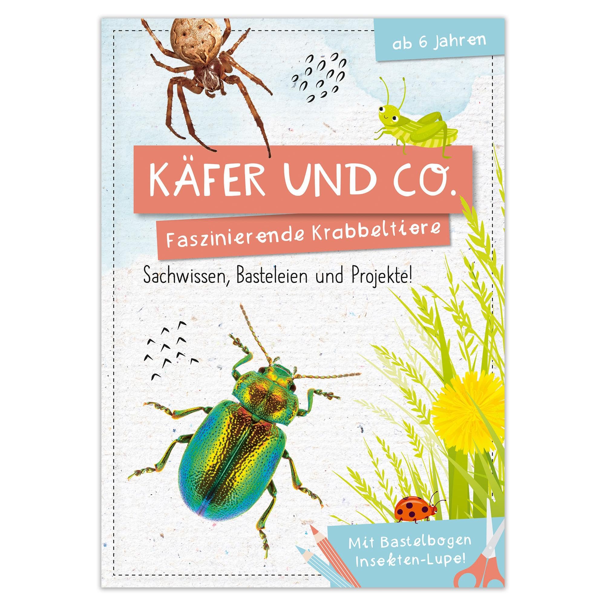 Activity Heft: Käfer und Co. General education