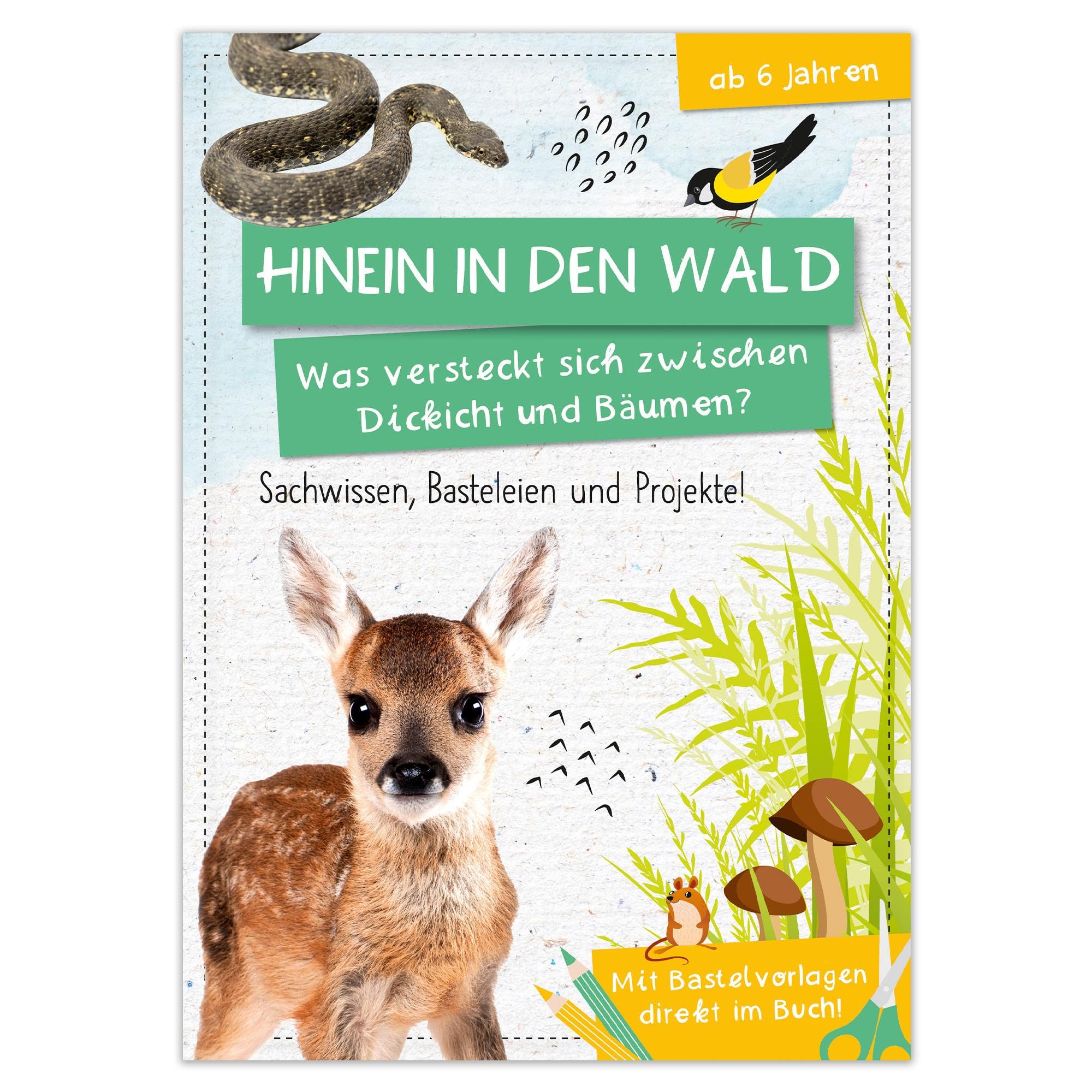Activity Heft: Hinein in den Wald - Was versteckt sich zwischen Dickicht und Bäumen? book