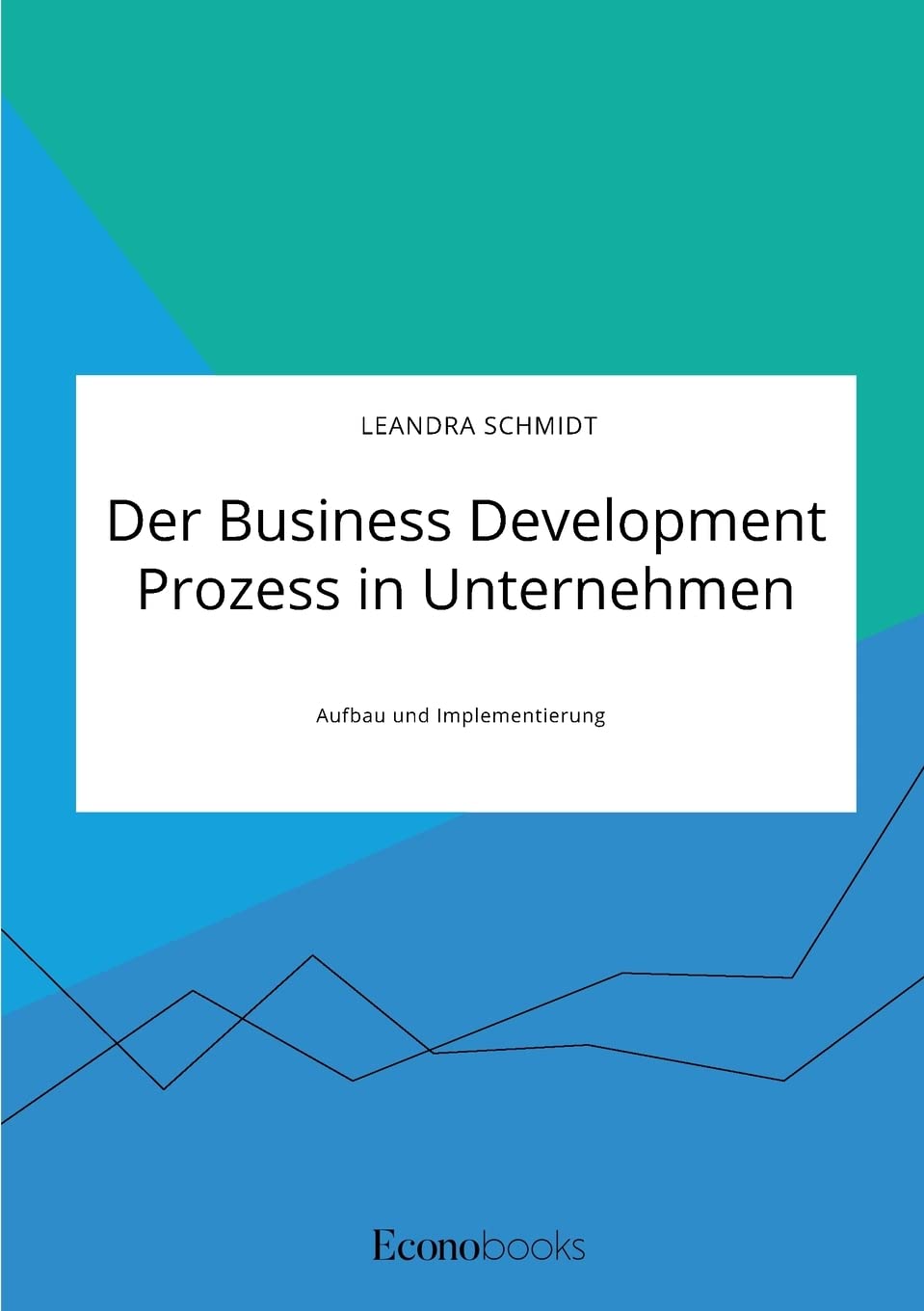 Der Business Development Prozess in Unternehmen. Aufbau und Implementierung Law