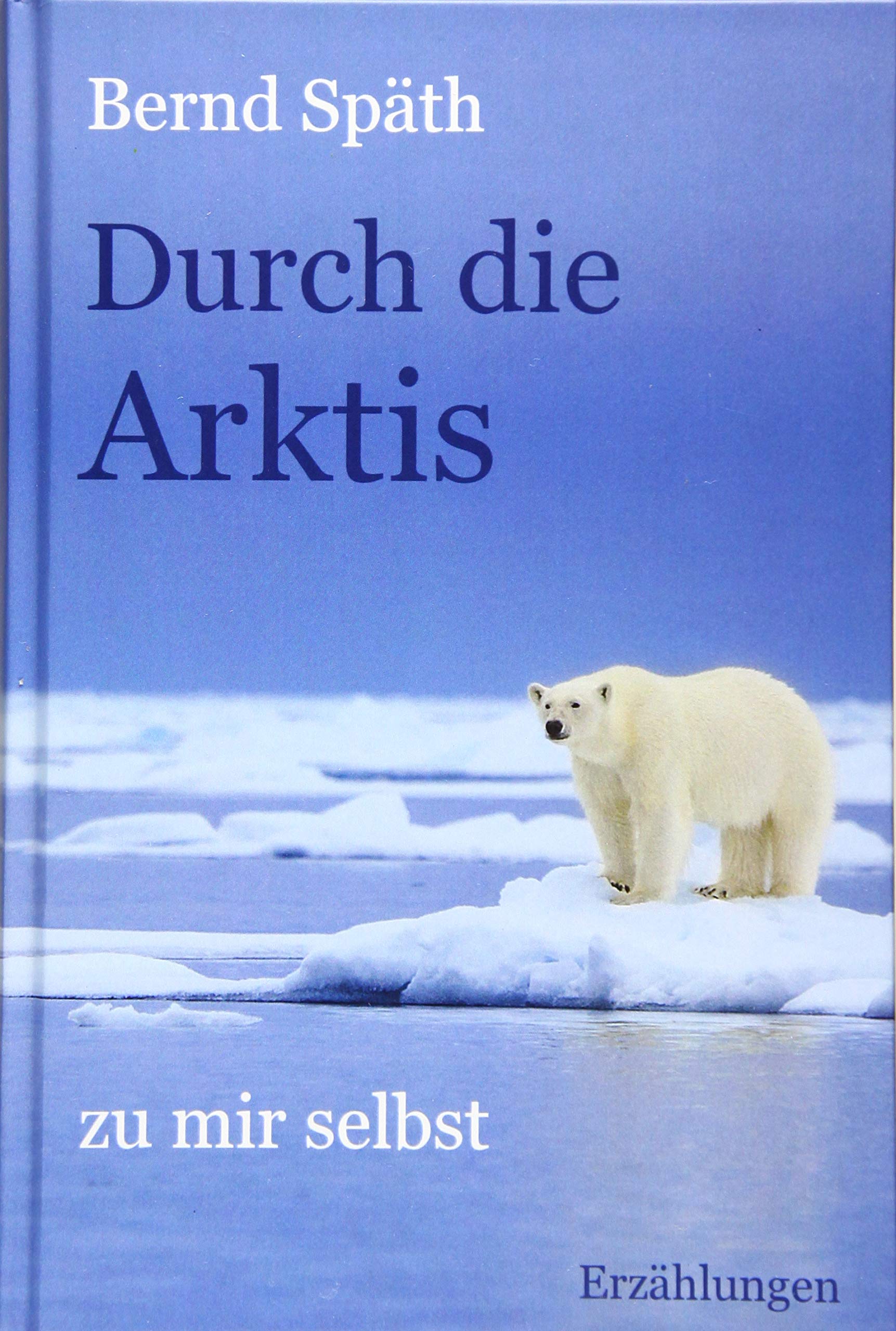 Durch die Arktis - zu mir selbst: Erzählungen Fiction