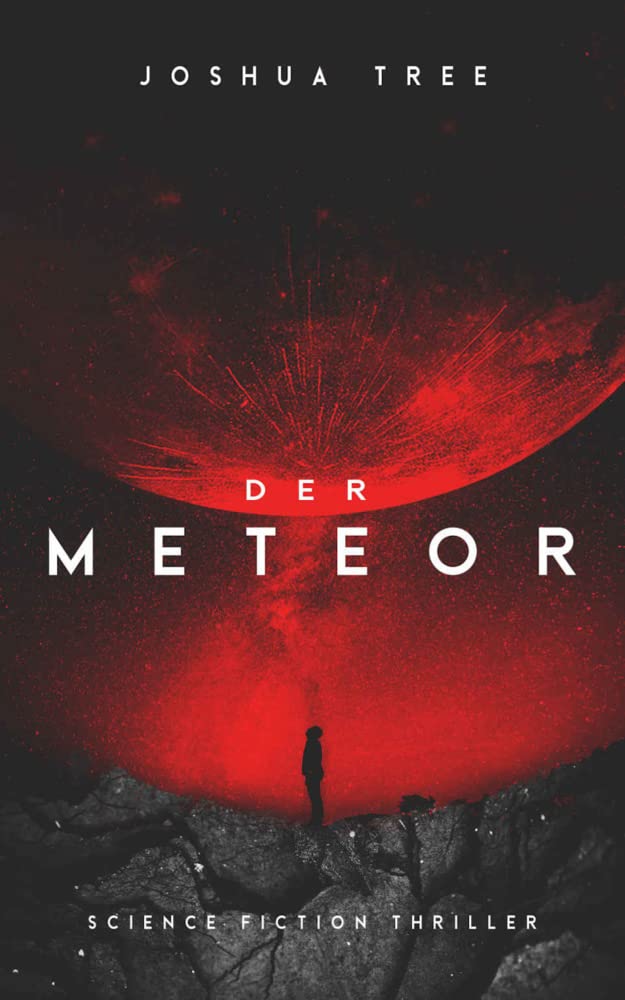 Der Meteor Contemporary literature Books