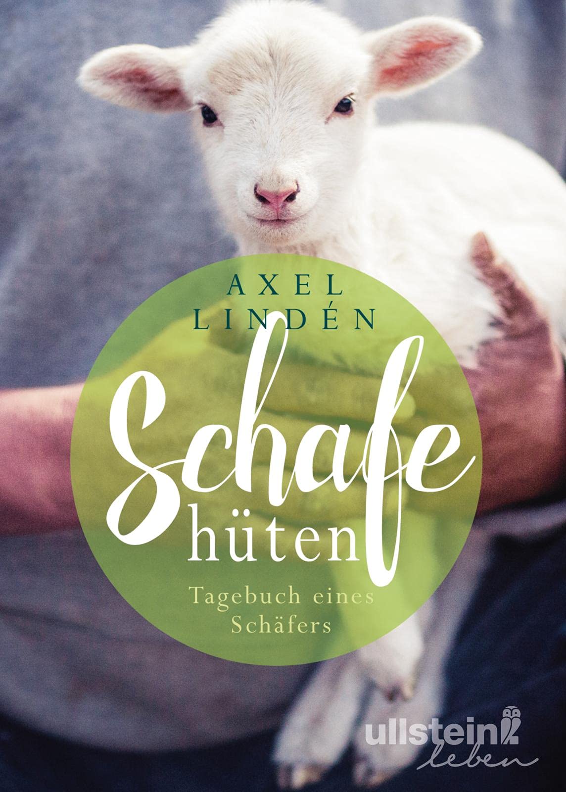 Schafe hüten: Tagebuch eines Schäfers Mathematics