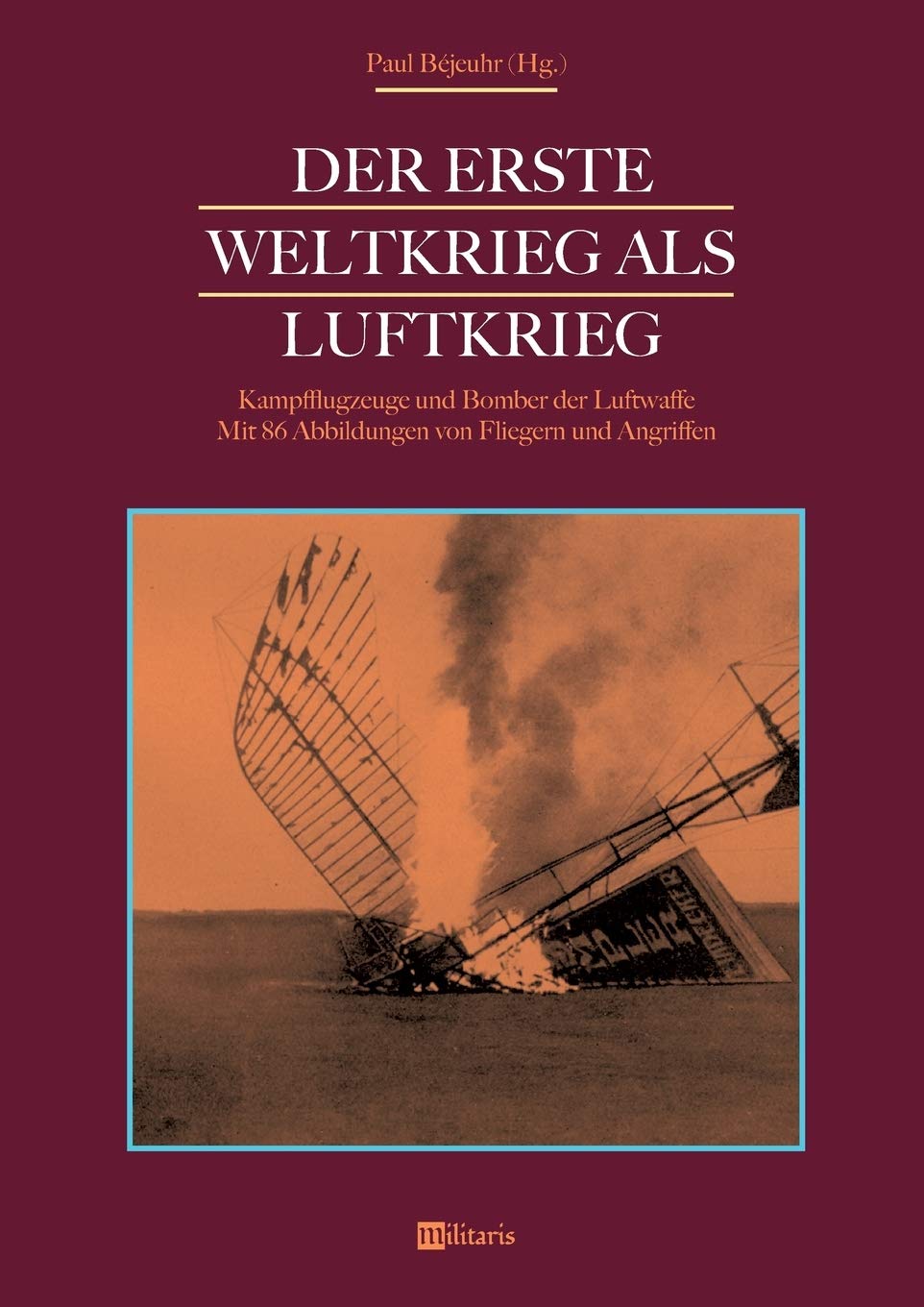 Der Erste Weltkrieg als Luftkrieg: Kampfflugzeuge und Bomber der Luftwaffe: Mit 86 Abbildungen von Fliegern und Angriffen Politics & History