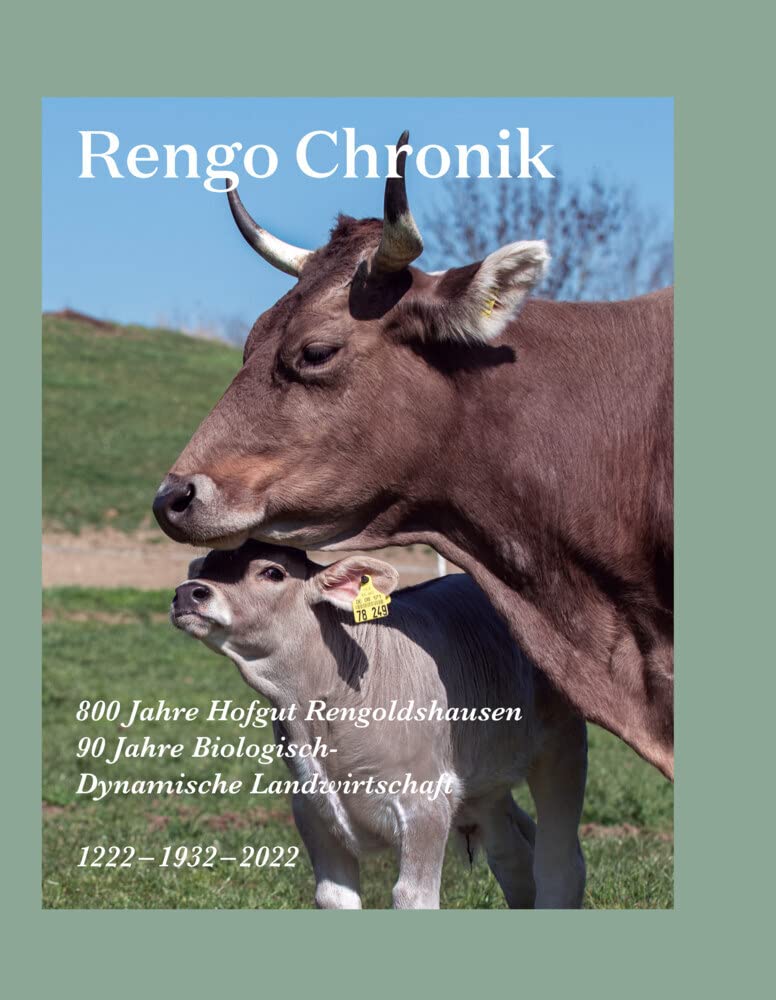 Rengo Chronik Politics & History
